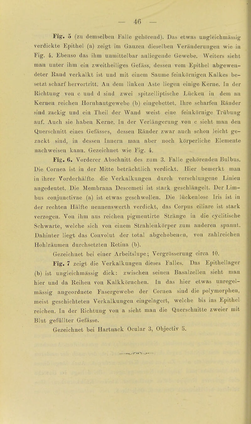 Fig'. 5 (zu demselben Falle gehörend). Das etwas uiigleichuaässig- verdickte Epithel (a) zeigt im Ganzen dieselben Veräuderuiigen wie in Fig. 4, Ebenso das ihm unmittelbar anliegende Gewebe. Weiters sieht man unter ihm ein zweitheiliges Gefäss, dessen vom Epithel abgewen- detei' Rand verkalkt ist und mit einem Saume feinkörnigeii Kalkes be- setzt scharf hervortritt. An dem linken Aste liegen einige Kerne. In der Richtung von c und d sind zwei spitzelliptische Lücken in dem an Kernen reichen Hornhautgewebe (b) eingebettet. Ihre scharfen Räuder sind zackig und ein Theil der Wand weist eine feinkörnige Trübung auf. Auch sie haben Kerne. In der Verlängerung von c sieht man den Querschnitt eines Gefässes, dessen Ränder zwar auch schon leicht ge- zackt sind, in dessen Innern man aber noch körperliche Elemente nachweisen kann. Gezeichnet wie Fig. 4. Fig. 6. Vorderer Abschnitt des zum 3. Falle gehörenden Bulbus. Die Cornea ist in der Mitte beträchtlich verdickt. Hier bemerkt man in ihrer Vorderhälfte die Verkalkungen durch verschlungene Linien angedeutet. Die Membrana Descemeti ist stark geschlängelt. Der Lim- bus conjunctivae (a) ist etwas geschwollen. Die lückenlose Iris ist in der rechten Hälfte nenneuswerth verdickt, das Corpus ciliare ist stark verzogen. Von ihm aus reichen pigmentirte Stränge in die cjclitische Schwarte, welche sich von einem Strahlenkörper zum anderen spannt. Dahinter liegt das Convolut der total abgehobeju-n, von zahlreichen Hohlräumen durchsetzten Retina (b). Gezeichnet bei einer Arbeitslupe; Vergrösserung circa 10. Fi^. 7 zeigt die Verkalkungen dieses Falles. Das Epithellager (b) ist ungleichmässig dick: zwischen seinen Basalzellen sieht man hier und da Reihen von Kalkkörnchen. In das hier etwas unregel- mässig angeordnete Fasergewebe der Cornea sind die polymorphen, meist geschichteten Verkalkungen eingelagert, welche bis ins Epithel reichen. In der Richtung von a sieht man die Querschnitte zweier mit Blut gefüllter Gefässe. Gezeichnet bei Hartnack Ocular 3, Objectiv ö.