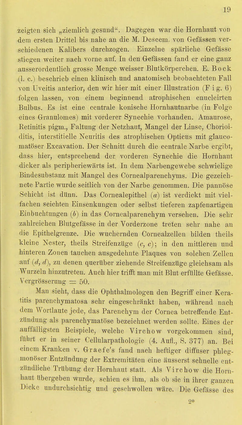 zeigten sich „ziemlich gesund. Dagegen war die Hornhaut von dem ersten Drittel bis nahe an die M. Descem. von Gefässen ver- schiedenen Kalibers durchzogen. Einzelne spärliche Gefässe stiegen weiter nach vorne auf. In den Gefässen fand er eine ganz ausserordentlich grosse Menge weisser Blutkörperchen. E. Bock (1. c.) beschrieb einen klinisch und anatomisch beobachteten Fall von Uveitis anterior, den wir hier mit einer Illustration (F i g. 6) folgen lassen, von einem beginnend atrophischen enucleirten Bulbus. Es ist eine centrale konische Hornhautnarbe (in Folge eines Granulomes) mit vorderer Synechie vorhanden. Amaurose, Retinitis pigm., Faltung der Netzhaut, Mangel der Linse, Chorioi- ditis, interstitielle Neuritis des atrophischen Opticus mit glauco- matöser Excavation. Der Schnitt durch die centrale Narbe ergibt, dass hier, entsprechend der vorderen Synechie die Hornhaut dicker als peripheriewärts ist. In dem Narbengewebe schwielige Bindesubstanz mit Mangel des Cornealparenchyms. Die gezeich- nete Partie wurde seitlich von der Narbe genommen. Die pannöse Schicht ist dünn. Das Cornealepithel (a) ist verdickt mit viel- fachen seichten Einsenkungen oder selbst tieferen zapfenartigen Einbuchtungen (ö) in das Cornealparenchym versehen. Die sehr zahlreichen Bhitgefässe in der Vorderzone treten sehr nahe an die Epithelgrenze. Die wuchernden Cornealzellen bilden theils kleine Nester, theils Streifenzüge (c, c); in den mittleren und hinteren Zonen tauchen ausgedehnte Plaques von solchen Zellen auf {d, d), zu denen querüber ziehende Streifenzüge gleichsam als Wurzeln hinzutreten. Auch hier trifft man mit Blut erfüllte Gefässe. Vergrösseruug = 50. Man sieht, dass die Ophthalmologen den Begriff einer Kera- titis parenchymatosa sehr eingeschränkt haben, während nach dem Wortlaute jede, das Parenchym der Cornea betreffende Ent- zündung als parenchymatöse bezeichnet werden sollte. Eines der auffälligsten Beispiele, welche Virchow vorgekommen sind, führt er in seiner Cellularpathologie (4. Aufl., S. 377) an. Bei einem Kranken v. Graefe's fand nach heftiger diffuser phleg- monöser Entzündung der Extremitäten eine äusserst schnelle ent- zündliche Trübung der Hornhaut statt. Als Virchow die Horn- haut übergeben wurde, schien es ihm, als ob sie in ihrer ganzen Dicke undurchsichtig und geschwollen wäre. Die Gefässe des 2*