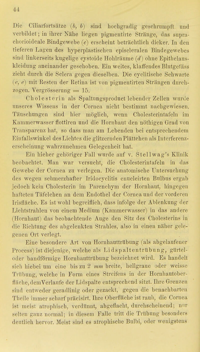 Die Ciliarfortsätze (b, b) sind hochgradig geschrumpft und verbildet; in ihrer Nähe liegen pigmentirte Stränge, das supra- chorioideale Bindgewebe (c) erscheint beträchtlich dicker. In den tieferen Lagen des hyperplastischen episcleralen Bindegewebes sind linkerseits kugelige cystoide Hohlräume (rf) ohne Epithelaus- kleidung aneinander geschoben. Ein weites, klaffendes Blutgefäss zieht durch die Sclera gegen dieselben. Die cyclitische Schwarte [e, e) mit Resten der Retina ist von pigmentirten Strängen durch- zogen. Vergrösserung =15. Cholesterin als Spaltungsproduct lebender Zellen wurde unseres Wissens in der Cornea nicht bestimmt nachgewiesen. Täuschungen sind hier möglich, wenn Cholesterintafeln im Kammerwasser flottiren und die Hornhaut den nöthigen Grad von Transparenz hat, so dass man am Lebenden bei entsprechendem Einfallswinkel des Lichtes die glitzernden Plättchen als Interferenz- erscheinung wahrzunehmen Gelegenheit hat. Ein Meher gehöriger Fall wurde auf v. Stellwag's Klinik beobachtet. Man war versucht, die Cholesterintafeln in das Gewebe der Cornea zu verlegen. Die anatomische Untersuchung des wegen schmerzhafter Iridocyclitis enucleirten Bulbus ergab jedoch kein Cholesterin im Parenchym der Hornhaut, hingegen hafteten Täfelchen an dem Endothel der Cornea und der vorderen Irisfläche. Es ist wohl begreiflich, dass infolge der Ablenkung der Lichtstrahlen von einem Medium (Kammerwasser) in das andere (Hornhaut) das beobachtende Auge den Sitz des Cholesterins in die Richtung des abgelenkten Strahles, also in einen näher gele- genen Ort verlegt. Eine besondere Art von Hornhauttrübung (als abgelaufener Process) ist diejenige, welche als Lidspaltentrübung, gttrtel- oder bandförmige Hornhauttrübung bezeichnet wird. Es handelt sich hiebei um eine bis zu 2 mm breite, hellgraue oder weisse Trübung, welche in Form eines Streifens in der Hornhautober- fläche, dem Verlaufe der Lidspalte entsprechend sitzt. Ihre Grenzen sind entweder geradlinig oder gezackt, gegen die benachbarten Theile immer scharf präcisirt. Ihre Oberfläche ist rauh, die Cornea ist meist atrophisch, verdünnt, abgeflacht, durchscheinend; nur selten ganz normal; in diesem Falle tritt die Trübung besonders deutlich hervor. Meist sind es atrophische Bulbi, oder wenigstens