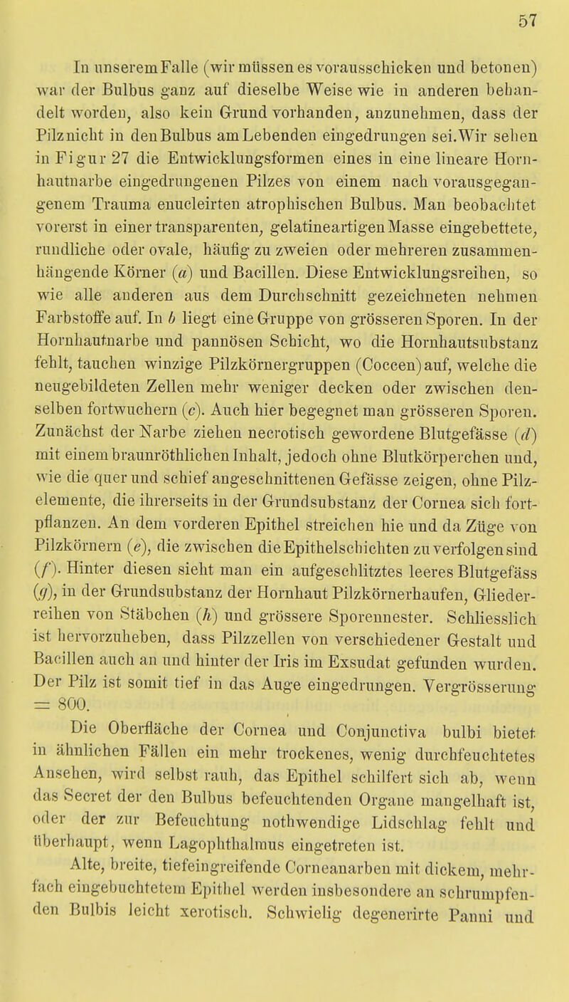 In unseremFalle (wir müssen es vorausschicken und betonen) war der Bulbus ganz auf dieselbe Weise wie in anderen behan- delt worden, also kein Grund vorhanden, anzunehmen, dass der Pilznicht in denBulbus amLebenden eingedrungen sei.Wir sehen in Figur 27 die Entwicklungsformen eines in eine lineare Horn- hautnarbe eingedrungenen Pilzes von einem nach vorausgegan- genem Trauma enucleirten atrophischen Bulbus. Man beobachtet vorerst in einer transparenten, gelatineartigen Masse eingebettete, rundliche oder ovale, häufig zu zweien oder mehreren zusammen- hängende Körner (a) und Bacillen. Diese Entwicklungsreihen, so wie alle anderen aus dem Durchschnitt gezeichneten nehmen Farbstoffe auf. In b liegt eine Gruppe von grösseren Sporen. In der Hornhautnarbe und pannösen Schicht, wo die Hornhautsubstanz fehlt, tauchen winzige Pilzkörnergruppen (Coccen)auf, welche die neugebildeten Zellen mehr weniger decken oder zwischen den- selben fortwuchern (c). Auch hier begegnet man grösseren Sporen. Zunächst der Narbe ziehen necrotisch gewordene Blutgefässe (d) mit einembraunröthlichen Inhalt, jedoch ohne Blutkörperchen und, wie die quer und schief angeschnittenen Gefässe zeigen, ohne Pilz- elemente, die ihrerseits in der Grund Substanz der Cornea sich fort- pflanzen. An dem vorderen Epithel streichen hie und da Züge von Pilzkörnern (e), die zwischen die Epithelschichten zu verfolgen sind (/■). Hinter diesen sieht man ein aufgeschlitztes leeres Blutgefäss (//), in der Grundsubstanz der Hornhaut Pilzkörnerhaufen, Glieder- reihen von Stäbchen (h) und grössere Sporennester. Schliesslich ist hervorzuheben, dass Pilzzellen von verschiedener Gestalt und Bacillen auch an und hinter der Iris im Exsudat gefunden wurden. Der Pilz ist somit tief in das Auge eingedrungen. Vergrösserung = 800. Die Obei-fläche der Cornea und Conjunctiva bulbi bietet in ähnlichen Fällen ein mehr trockenes, wenig durchfeuchtetes Ansehen, wird selbst rauh, das Epithel schilfert sich ab, wenn das Secret der den Bulbus befeuchtenden Orgaue mangelhaft ist, oder der zur Befeuchtung nothwendige Lidschlag fehlt und überhaupt, wenn Lagophthalraus eingetreten ist. Alte, breite, tiefeingreifende Corneanarben mit dickem, mehr- fach eingebuchtetem Epithel werden insbesondere an schrumpfen- den Bulbis leicht xerotisch. Schwielig degenerirte Panni und