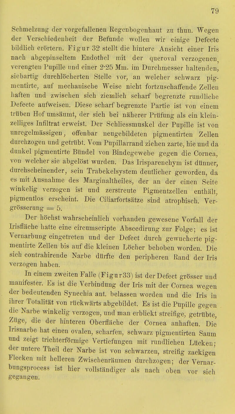 Scbmelzimg der vorgefallenen Regenbogenhaut zu thuu. Wegen der Verschiedenheit der Befunde wollen wir einige Defeete bildlich erörtern. Figur 32 stellt die hintere Ansicht einer Iris nach abgepinseltem Endothel mit der queroval verzogenen verengten Pupille und einer 2-25 Mm. im Durchmesser haltenden, siebartig durchlöcherten Stelle vor^ an welcher schwarz pig- mentirte^ auf mechanische Weise nicht fortzuschaffende Zellen haften und zwischen sich ziemlich scharf begrenzte rundliche Defeete aufweisen. Diese scharf begrenzte Partie ist von einem trüben Hof umsäumt, der sich bei näherer Prüfung als ein klein- zelliges Infilü-at erweist. Der Schliessmuskel der Pupille ist von unregelmässigen, offenbar neugebildeten pigmentirten Zellen durchzogen und getrübt. Vom Pupillarrand ziehen zarte, hie und da dunkel pigmentirte Bündel von Bindegewebe gegen die Cornea, von welcher sie abgelöst wurden. Das Irisparenchym ist dünner, durchscheinender, sein Trabekelsystem deutlicher geworden, da es mit Ausnahme des Marginaltheiles, der an der einen Seite winkelig verzogen ist und zerstreute Pigmentzellen enthält, pigmentlos erscheint. Die Ciliarfortsätze sind atrophisch. Ver- grösserung = 5. Der höchst wahrscheinlich vorhanden gewesene Vorfall der Irisfläche hatte eine circumscripte Abscedirung zur Folge; es ist Vernarbung eingetreten und der Defect durch gewucherte pig- mentirte Zellen bis auf die kleinen Löcher behoben worden. Die sich contrahirende Narbe dürfte den peripheren Rand der Iris verzogen haben. In einem zweiten Falle (Figur33) ist der Defect grösser und manifester. Es ist die Verbindung der Iris mit der Cornea wegen der bedeutenden Synechia ant. belassen worden und die Iris in ihrer Totalität von rückwärts abgebildet. Es ist die Pupille gegen die Narbe winkelig verzogen, und man erblickt streifige, getrübte, Züge, die der hinteren Oberfläche der Cornea anhaften. Die Irisnarbe hat einen ovalen, scharfen, schwarz pigmentirten Saum und zeigt trichterförmige Vertiefungen mit rundlichen Lücken; der untere Theil der Narbe ist von schwarzen, streifig zackigen Flecken mit helleren Zwischenräumen durchzogen; der Vernar- bungsprocess ist hier vollständiger als nach oben vor sich gegangen.