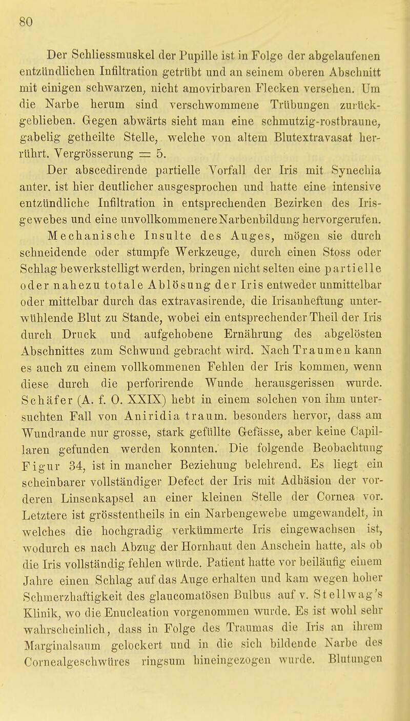 Der Schliessmuskel der Pupille ist in Folge der abgelaufenen entzündliclien Infiltration getrübt und an seinem oberen Abschnitt mit einigen schwarzen^ nicht amovirbaren Flecken versehen. Um die Narbe herum sind verschwommene Trübungen zurück- geblieben. Gegen abwärts sieht man eine schmutzig-rostbraune, gabelig getheilte Stelle, welche von altem Blutextravasat her- rührt. Vergrösserung — 5. Der abscedirende partielle Vorfall der Iris mit Synechia anter. ist hier deutlicher ausgesprochen und hatte eine intensive entzündliche Infiltration in entsprechenden Bezirken des Iris- gewebes und eine unvollkommenere Narbenbildung hervorgerufen. Mechanische Insulte des Auges, mögen sie durch schneidende oder stumpfe Werkzeuge, durch einen Stoss oder Schlag bewerkstelligt werden, bringen nicht selten eine partielle oder nahezu totale Ablösung der Iris entweder unmittelbar oder mittelbar durch das extravasirende, die Irisanheftung unter- wühlende Blut zu Stande, wobei ein entsprechender Theil der Iris durch Druck und aufgehobene Ernährung des abgelösten Abschnittes zum Schwund gebracht wird. Nach Traumen kann es auch zu einem vollkommenen Fehlen der Iris kommen, wenn diese durch die perforirende Wunde herausgerissen wurde. Schäfer (A. f. 0. XXIX) hebt in einem solchen von ihm unter- suchten Fall von Aniridia träum, besonders hervor, dass am Wundrande nur grosse, stark gefüllte Gefässe, aber keine Capil- laren gefunden werden konnten. Die folgende Beobachtung Figur 34, ist in mancher Beziehung belehrend. Es liegt ein scheinbarer vollständiger Defect der Iris mit Adhäsion der vor- deren Linsenkapsel an einer kleinen Stelle der Cornea vor. Letztere ist grösstentheils in ein Narbengewebe umgewandelt, in welches die hochgradig verkümmerte Iris eingewachsen ist, wodurch es nach Abzug der Hornhaut den Anschein hatte, als ob die Iris vollständig fehlen würde. Patient hatte vor beiläufig einem Jahre einen Schlag auf das Auge erhalten und kam wegen hoher Schmerzhaftigkeit des glaucomatösen Bulbus auf v. Stellwag's Klinik, wo die Enucleation vorgenommen wurde. Es ist wohl sehr wahrscheinlich, dass in Folge des Traumas die Iris an ihrem Marginalsaum gelockert und in die sich bildende Narbe des Cornealgeschwüres ringsum hineingezogen wurde. Blutungen