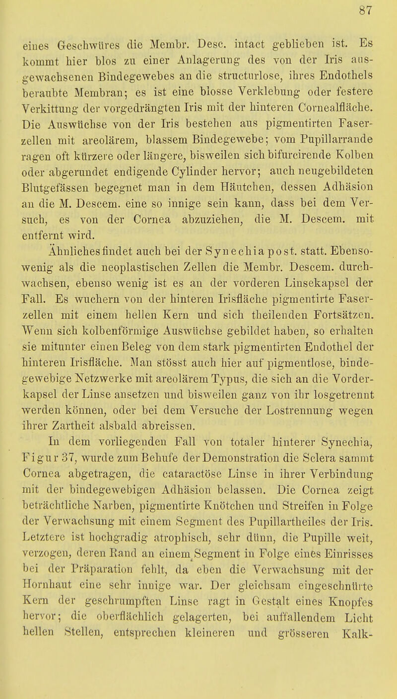 eiues Geschwüres die Membr. Desc. intact geblieben ist. Es kommt hier blos zu einer Anlagerung des von der Iris aus- gewachsenen Bindegewebes an die structiirlose, ihres Endothels beraubte Membran; es ist eine blosse Verklebung oder festere Verkittung der vorgedrängten Iris mit der hinteren Cornealfläche. Die Auswüchse von der Iris bestehen aus pigmentirten Faser- zellen mit areolärem, blassem Bindegewebe; vom Pupillarrande ragen oft kürzere oder längere, bisweilen sichbifurcirende Kolben oder abgerundet endigende Cylinder hervor; auch neugebildeten Blutgefässen begegnet man in dem Häutchen, dessen Adhäsion an die M. Descem. eine so innige sein kann, dass bei dem Ver- such, es von der Cornea abzuziehen, die M. Descem. mit entfernt wird. Ähnliches findet auch bei der Syn echia post. statt. Ebenso- wenig als die neoplastischen Zellen die Membr. Descem. durch- wachsen, ebenso wenig ist es an der vorderen Liusekapsel der Fall. Es wuchern von der hinteren Irisfläche pigmentirte Faser- zellen mit einem hellen Kern und sich theilenden Fortsätzen. Wenn sich kolbenförmige Auswüchse gebildet haben, so erhalten sie mitunter einen Beleg von dem stark pigmentirten Endothel der hinteren Irisfläche. Man stösst auch hier auf pigmentlose, binde- gewebige Netzwerke mit areolärem Typus, die sich an die Vorder- kapsel der Linse ansetzen und bisweilen ganz von ihr losgetrennt werden können, oder bei dem Versuche der Lostrennung wegen ihrer Zartheit alsbald abreissen. In dem vorliegenden Fall von totaler hinterer Synechia, Figur 37, wurde zum Behufe der Demonstration die Sclera sanimt Cornea abgetragen, die cataractöse Linse in ihrer Verbindung mit der bindegewebigen Adhäsion belassen. Die Cornea zeigt beträchtliche Narben, pigmentirte Knötchen und Streifen in Folge der Verwachsung mit einem Segment des Pupillartheiles der Iris. Letztere ist hochgradig atrophisch, sehr dünn, die Pupille weit, verzogen, deren Rand an einem^Segment in Folge eines Einrisses bei der Präparation fehlt, da eben die Verwachsung mit der Hornhaut eine sehr innige war. Der gleichsam eingeschnürte Kern der geschrumpften Linse ragt in Gestalt eines Knopfes hervor; die oberflächlich gelagerten, bei auffallendem Licht hellen Stellen, entsprechen kleineren und grösseren Kalk-