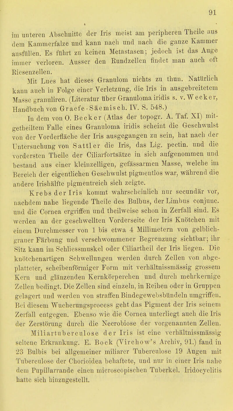 im unteren Abschnitte der Iris meist am peripheren Theile aus dem Kammerfalze und kann nach und nach die ganze Kammer ausfüllen. Es führt zu keinen Metastasen; jedoch ist das Auge immer verloren. Ausser den Kundzellen findet man auch oft Riesenzellen. Mit Lues hat dieses Granulom nichts zu thun. Natürlich kann auch in Folge einer Verletzung, die Iris in ausgebreitetem Masse granuliren. (Literatur über Granuloma iridis s. v. Wecker, Handbuch von Graefe-Säemisch. IV. S. 548.) In dem von 0. Becker (Atlas der topogr. A. Taf. XI) mit- getheiltem Falle eines Granuloma iridis scheint die Geschwulst von der Vorderfläche der Iris ausgegangen zu sein, hat nach der Untersuchung von Sattler die Iris, das Lig. pectin. und die vordersten Theile der Ciliarfortsätze in sich aufgenommen und bestand aus einer kleinzelligen, gefässarmen Masse, welche im Bereich der eigentlichen Geschwulst pigmentlos war, während die andere Irishälfte pigmentreich sich zeigte. Krebs der Iris kommt wahrscheinlich nur secundär vor, nachdem nahe liegende Theile des Bulbus, der Limbus conjuuc. und die Cornea ergriffen und theilweise schon in Zerfall sind. Es werden an der geschwellten Vorderseite der Iris Knötchen mit einem Durchmesser von 1 bis etwa 4 Millimetern von gelblich- grauer Färbung und verschwommener Begrenzung sichtbar; ihr Sitz kann im Schliessmuskel oder Ciliartheil der Iris liegen. Die knötchenartigen Schwellungen werden durch Zellen von abge- platteter, scheibenförmiger Form mit verhältnissmässig grossem Kern und glänzenden Kernkörperchen und durch mehrkernige Zellen bedingt. Die Zellen sind einzeln, in Reihen oder in Gruppen gelagert und werden von straffen Bindegewebsbündeln umgriffen. Bei diesem Wucherungsprocess geht das Pigment der Iris seinem Zerfall entgegen. Ebenso wie die Cornea unterliegt auch die Iris der Zerstörung durch die Necrobiose der vorgenannten Zellen. Miliartuberculose der Iris ist eine verhältnissmässig seltene Erkrankung. E. Bock (Virchow's Archiv, 91.) fand in 23 Bulbis bei allgemeiner miliarer Tuberculose 19 Augen mit Tuberculose der Chorioidea behaftete, und nur in einer Iris nahe dem Pupillarrande einen microscopischen Tuberkel. Iridocyclitis hatte sich hinzugestellt.