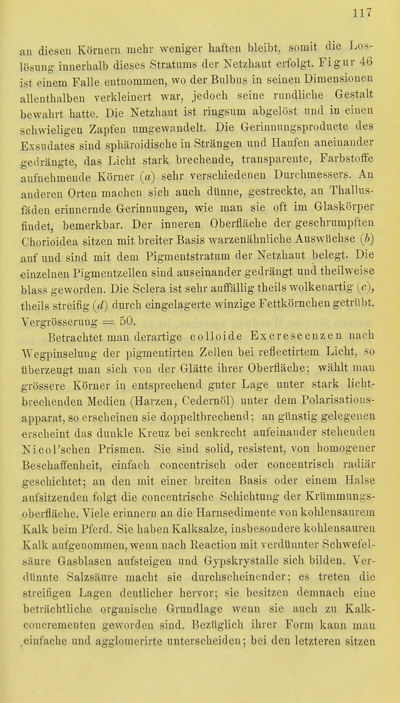 au diesen Köruern mehr weniger haften bleibt, somit die Los- lösung innerhalb dieses Stratums der Netzhaut erfolgt. Figur 46 ist einem Falle entnommen, wo der Bulbus in seinen Dimensionen allenthalben verkleinert war, jedoch seine rundliche Gestalt bewahrt hatte. Die Netzhaut ist ringsum abgelöst und in einen schwieligen Zapfen umgewandelt. Die Gerinnungsproducte des Exsudates sind sphäroidische in Strängen und Haufen aneinander gedrängte, das Licht stark brechende, transparente, Farbstoffe aufnehmende Körner (a) sehr verschiedenen Durehmessers. An anderen Orten machen sich auch dünne, gestreckte, an Thallus- fäden erinnernde Gerinnungen, wie man sie oft im Glaskörper findet, bemerkbar. Der inneren Oberfläche der geschrumpften Chorioidea sitzen mit breiter Basis warzenähnliche Auswüchse (b) auf und sind mit dem Pigmentstratum der Netzhaut belegt. Die einzelnen Pigmentzellen sind auseinander gedrängt und theilweise blass geworden. Die Sclera ist sehr auffällig theils wolkenartig (c), theils streifig {d) durch eingelagerte winzige Fettkörnchen getrübt. Vergrösserung = 50. Betrachtet mau derartige colloide Excrescenzen nach \7egpinselung der pigmentirten Zellen bei reflectirtem Licht, so überzeugt man sich von der Glätte ihrer Oberfläche; wählt man grössere Körner in entsprechend guter Lage unter stark licht- brechenden Medien (Harzen, Cedernöl) unter dem Polarisations- apparat, so erscheinen sie doppeltbrechend; an günstig gelegenen erscheint das dunkle Kreuz bei senkrecht aufeinander stehenden Nicol'schen Prismen. Sie sind solid, resistent, von homogener Beschaffenheit, einfach concentrisch oder concentrisch radiär geschichtet; an den mit einer breiten Basis oder einem Halse aufsitzenden folgt die concentrische Schichtung der KrUmmungs- oberfläche. Viele erinnern an die Harnsedimente von kohlensaurem Kalk beim Pferd. Sie haben Kalksalze, insbesondere kohlensauren Kalk aufgenommen, wenn nach Keaction mit verdünnter Schwefel- säure Gasblasen aufsteigen und Gypskrystalle sich bilden. Ver- dünnte Salzsäure macht sie durchscheinender; es treten die streifigen Lagen deutlicher hervor; sie besitzen demnach eine beträchtliche organische Grundlage wenn sie auch zu Kalk- concrementen geworden sind. Bezüglich ihrer Form kann man ,einfache und agglomerirte unterscheiden; bei den letzteren sitzen