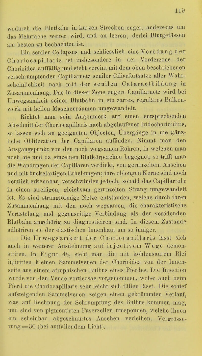 111) wodurch die ßliitbahn in kurzen Strecken enger, anderseits um das Mehrfache weiter wird, und an leeren, derlei Blutgefässen am besten zu beobachten ist. Ein seniler Collapsus und schliesslich eine Verödung der Choriocapillaris ist insbesondere in der Vorderzone der Chorioidea auffällig und steht vereint mit dem oben beschriebenen verschrumpfenden Capillarnetz seniler Ciliarfortsätze aller Wahr- scheinlichkeit nach mit der senilen Cataractbildung in Zusammenhang. Das in dieser Zone engere Capillarnetz wird bei Unwegsamkeit seiner Blutbahn in ein zartes, reguläres Balken- werk mit hellen Maschenräumen umgewandelt. Richtet man sein Augenmerk auf einen entsprechenden Abschnitt der Choriocapillaris nach abgelaufener Iridochorioiditis, so lassen sich an geeigneten Objecten, Übergänge in die gänz- liche Obliteration der Capillaren auffinden. Nimmt man den Ausgangspunkt von den noch wegsamen Röhren, in welchen man noch hie und da einzelnen Blutkörperchen begegnet, so trifft man die Wandungen der Capillaren verdickt, von gerunzeltem Ansehen und mit buckelartigen Erhebungen; ihre oblongen Kerne sind noch deutlich erkennbar, verschwinden jedoch, sobald das Capillarrolir in einen streifigen, gleichsam gerunzelten Strang umgewandelt ist. Es sind strangförmige Netze entstanden, welche durch ihren Zusammenhang mit den noch wegsamen, die charakteristische Verästelung und gegenseitige Verbindung als der verödenden Blutbahn angehörig zu diagnosticiren sind. In diesem Zustande adhäriren sie der elastischen Innenhaut um so inniger. Die Unwegs'amkeit der Choriocapillaris lässt sich auch in weiterer Ausdehnung auf injectivem Wege demon- striren. In Figur 48, sieht man die mit kohlensaurem Blei injicirten kleinen Sammelvenen der Chorioidea von der Innen- seite aus einem atrophischen Bulbus eines Pferdes. Die Injection wurde von den Venae vorticosae vorgenommen, wobei auch beim Pferd die Choriocapillaris sehr leicht sich füllen lässt. Die schief aufsteigenden Sammelvenen zeigen einen gekrümmten Verlauf, was auf Rechnung der Schrumpfung des Bulbus kommen mag, und sind von pigmentirten Faserzellen umsponnen, welche ihnen ein scheinbar abgeschnürtes Ansehen verleihen. Vergrösse- rung = 30 (bei auffallendem Licht).
