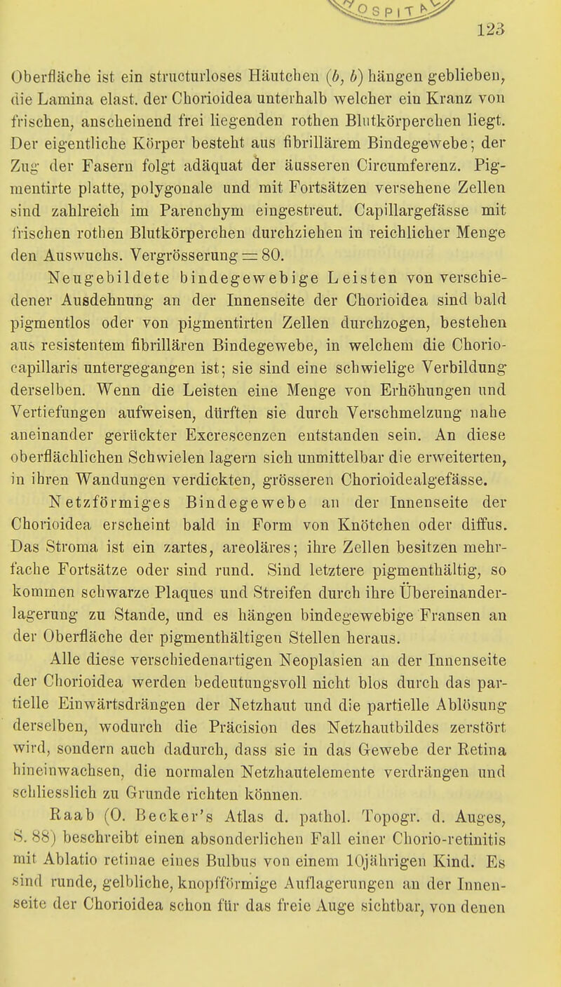 Oberfläche ist ein structurloses Häutchen (b, b) hängen geblieben, die Lamina elast, der Chorioidea unterhalb welcher ein Kranz von frischen, anscheinend frei liegenden rothen Blutkörperchen liegt. Der eigentliche Körper besteht aus fibrillärem Bindegewebe; der Zug- der Fasern folgt adäquat der äusseren Circumferenz. Pig- raentirte platte, polygonale und mit Fortsätzen versehene Zellen sind zahlreich im Parenchym eingestreut. Capillargefässe mit Irischen rothen Blutkörperchen durchziehen in reichlicher Menge den Auswuchs. Vergrösserung — 80. Neugebildete bindegewebige Leisten von verschie- dener Ausdehnung an der Innenseite der Chorioidea sind bald pigmentlos oder von pigmentirten Zellen durchzogen, bestehen aus resistentem fibrillären Bindegewebe, in welchem die Chorio- capillaris untergegangen ist; sie sind eine schwielige Verbildung derselben. Wenn die Leisten eine Menge von Erhöhungen und Vertiefungen aufweisen, dürften sie durch Verschmelzung nahe aneinander gerückter Excrescenzen entstanden sein. An diese oberflächlichen Schwielen lagern sich unmittelbar die erweiterten, in ihren Wandungen verdickten, grösseren Chorioidealgefässe. Netzförmiges Bindegewebe an der Innenseite der Chorioidea erscheint bald in Form von Knötchen oder diffus. Das Stroma ist ein zartes, areoläres; ihre Zellen besitzen mehr- fache Fortsätze oder sind rund. Sind letztere pigmenthältig, so kommen schwarze Plaques und Streifen durch ihre Übereinander- lagerung zu Stande, und es hängen bindegewebige Fransen an der Oberfläche der pigmenthältigen Stellen heraus. Alle diese verschiedenartigen Neoplasien an der Innenseite der Chorioidea werden bedeutungsvoll nicht blos durch das par- tielle Einwärtsdrängen der Netzhaut und die partielle Ablösung derselben, wodurch die Präcision des Netzhautbildes zerstört wird, sondern auch dadurch, dass sie in das Gewebe der Retina hineinwachsen, die normalen Netzhautelemente verdrängen und schliesslich zu Grunde richten können. Raab (0. Becker's Atlas d. pathol. Topogr. d. Auges, S. 88) beschreibt einen absonderlichen Fall einer Chorio-retinitis mit Ablatio retinae eines Bulbus von einem 10jährigen Kind. Es sind runde, gelbliche, knopfförmige Auflagerungen au der Innen- seite der Chorioidea schon für das freie Auge sichtbar, von denen