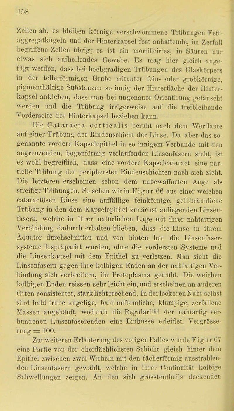 Zellen ab, es bleiben körnig-e verschwommene Trübungen Fett- aggreg-atkugeln und der Hinterkapsel fest anhaftende, im Zerfall begriffene Zellen übrig; es ist ein mortificirtes, in Säuren nur etwas sich aufhellendes Gewebe. Es mag hier gleich auge- fügt werden, dass bei hochgradigen Trübungen des Glaskörpers in der tellerförmigen Grube mitunter fein- oder grobkörnige, pigmenthaltige Substanzen so innig der Hinterfläche der Hinter- kapsel ankleben, dass man bei ungenauer Orientirung getäuscht werden nnd die Trübung irrigerweise auf die freibleibende Vorderseite der Hinterkapsel beziehen kann. Die Cataracta corticalis beruht nach dem Wortlaute auf einer Trübung der Rindenschicht der Linse. Da aber das so- genannte vordere Kapselepithel in so innigem Verbände mit den angrenzenden, bogenförmig verlaufenden Linsenfasern steht, ist es wohl begreiflich, dass eine vordere Kapselcataract eine par- tielle Trübung der periphersten Rindenschichten nach sich zieht. Die letzteren erscheinen schon dem unbewaffneten Auge als streifige Trübungen. So sehen wir in Figur 66 aus einer weichen cataractösen Linse eine auffällige feinkörnige, gelbbräunliche Trübung in den dem Kapselepithel zunächst anliegenden Linsen- fasern, welche in ihrer natürlichen Lage mit ihrer nahtartigen Verbindung dadurch erhalten blieben, dass die Linse in ihrem Äquator durchschnitten und von hinten her die Linsenfaser- systeme lospräparirt wurden, ohne die vordersten .Systeme und die Linsenkapsel mit dem Epithel zu verletzen. Man sieht die Linsenfasern gegen ihre kolbigen Enden an der nahtartigen Ver- bindung sich verbreitern, ihr Protoplasma getrübt. Die weichen kolbigen Enden reissen sehr leicht ein, und erscheinen an anderen Orten consistenter, stark lichtbrechend. In derlockerenNaht selbst sind bald trübe kugelige, bald unförmliche, klumpige, zerfallene Massen augehäuft, wodurch die Regularität der nahtartig ver- bundenen Linsenfaserenden eine Einbusse erleidet. Vergrösse- rung = 100. Zur weiteren Erläuterung des vorigenFalles wurde Figur 67 eine Partie von der oberflächlichsten Schicht gleich hinter dem Epithel zwischen zwei Wirbeln mit den fächerförmig ausstrahlen- den Linsenfasern gewählt, welche in ihrer Continuität kolbige Schwellungen zeigen. An den sich grösstentheils deckenden