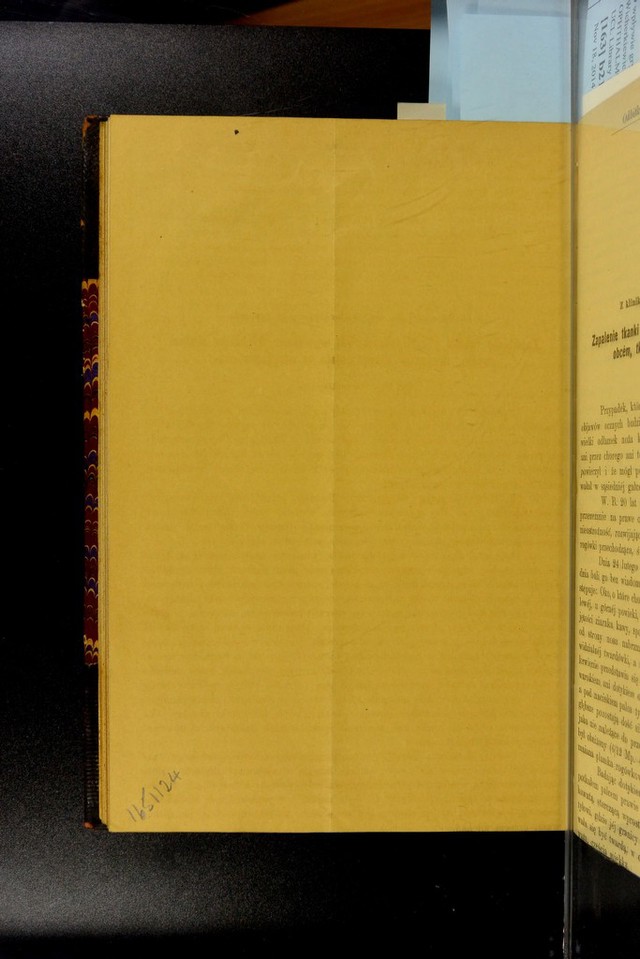 digitised image 2