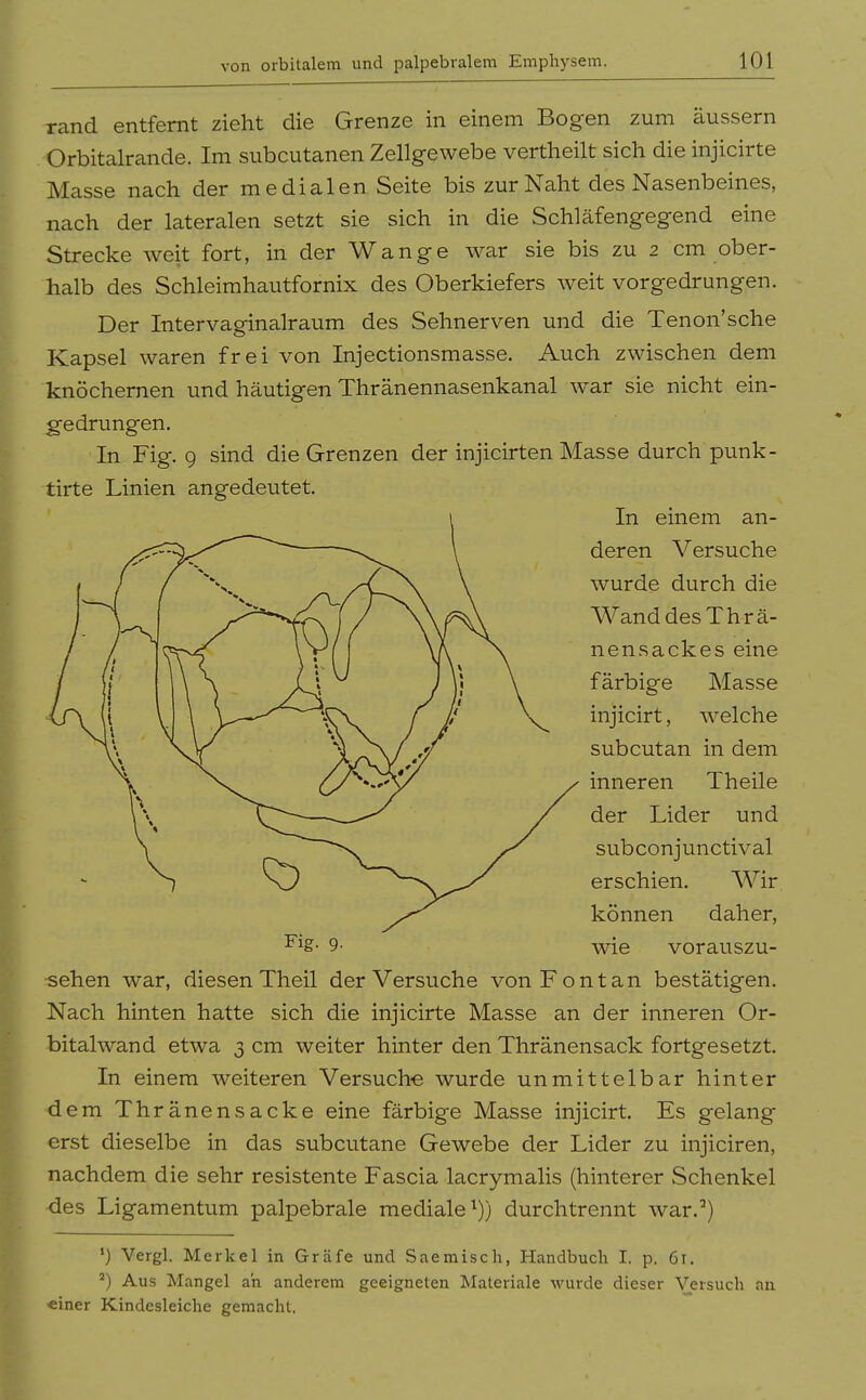 rand entfernt zieht die Grenze in einem Bogen zum äussern Orbitalrande. Im subcutanen Zellgewebe vertheilt sich die injicirte Masse nach der medialen Seite bis zur Naht des Nasenbeines, nach der lateralen setzt sie sich in die Schläfengegend eine Strecke weit fort, in der Wange war sie bis zu 2 cm ober- halb des Schleimhautfornix des Oberkiefers weit vorgedrungen. Der Intervaginalraum des Sehnerven und die Tenon'sche Kapsel waren frei von Injectionsmasse. Auch zwischen dem knöchernen und häutigen Thränennasenkanal war sie nicht ein- gedrungen. In Fig. 9 sind die Grenzen der injicirten Masse durch punk- tirte Linien angedeutet. In einem an- deren V ersuche wurde durch die Wand des T h r ä- nensackes eine färbige Masse injicirt, welche subcutan in dem inneren Theile der Lider und subconjunctival erschien. Wir können daher, ^^S- 9- wie vorauszu- sehen war, diesen Theil der Versuche von Font an bestätigen. Nach hinten hatte sich die injicirte Masse an der inneren Or- bitalwand etwa 3 cm weiter hinter den Thränensack fortgesetzt. In einem weiteren Versuch-e wurde unmittelbar hinter dem Thränensacke eine färbige Masse injicirt. Es gelang erst dieselbe in das subcutane Gewebe der Lider zu injiciren, nachdem die sehr resistente Fascia lacrymalis (hinterer Schenkel des Ligamentum palpebrale mediale^)) durchtrennt war.') •) Vergl. Merkel in Gräfe und Saemiscli, Handbuch I. p. 6i. Aus Mangel ah anderem geeigneten Materiale wurde dieser Versuch an «iner Kindesleiche gemacht.