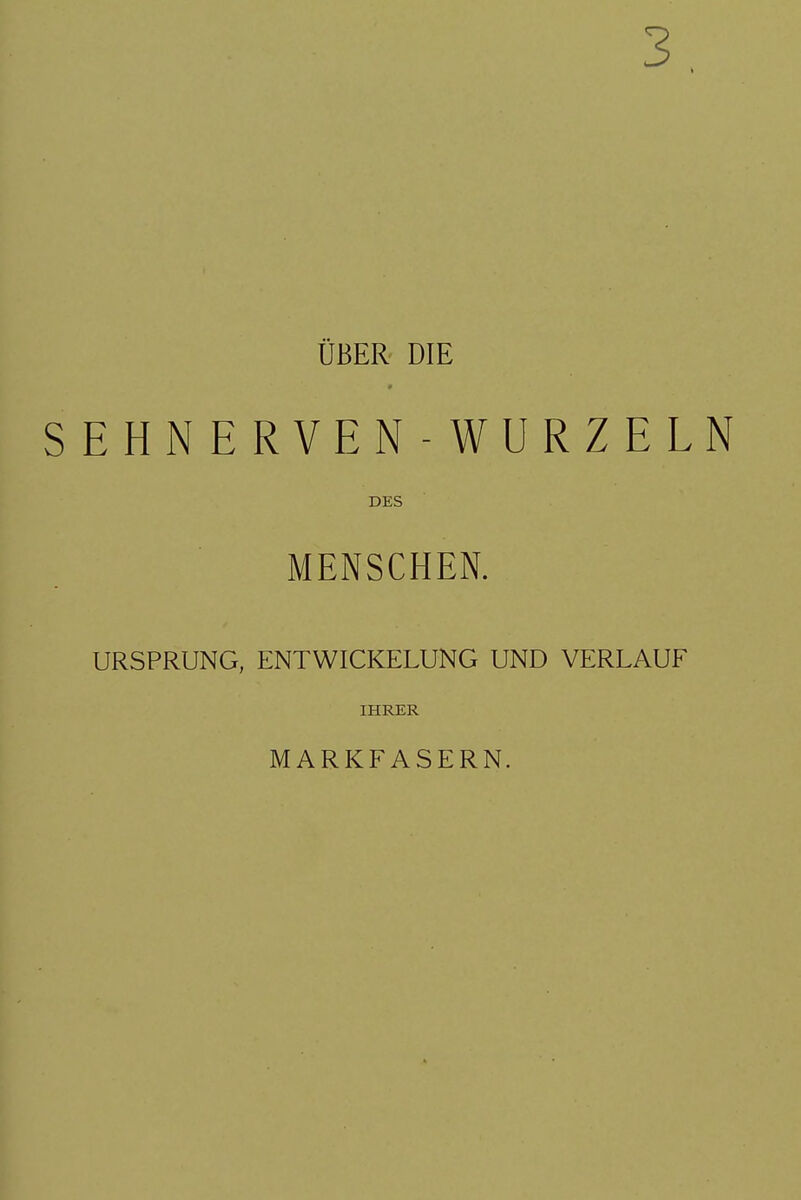 3 ÜBER DIE SEHNERVEN-WURZELN DES MENSCHEN. URSPRUNG, ENTWICKELUNG UND VERLAUF IHRER MARKFASERN.