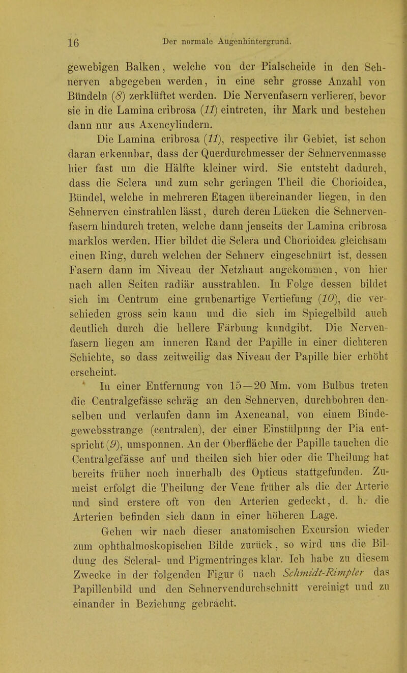 gewebigen Balken, welche von der Piaischeide in den Seh- nerven abgegeben werden, in eine sehr grosse Anzahl von Bündeln (8) zerklüftet werden. Die Nervenfasern verlieren, bevor sie in die Lamina cribrosa (11) eintreten, ihr Mark und bestehen dann nur aus Axencylindern. Die Lamina cribrosa respective ihr Gebiet, ist schon daran erkennbar, dass der Querdurchmesser der Sehnervenmasse hier fast um die Hälfte kleiner wird. Sie entsteht dadurch, dass die Sclera und zum sehr geringen Theil die Chorioidea, Bündel, welche in mehreren Etagen übereinander liegen, in den Sehnerven einstrahlen lässt, durch deren Lücken die Sehnerven- fasern hindurch treten, welche dann jenseits der Lamina cribrosa niarklos werden. Hier bildet die Sclera und Chorioidea gleichsam einen Ring, durch welchen der Sehnerv eingeschnürt ist, dessen Fasern dann im Niveau der Netzhaut angekommen, von hier nach allen Seiten radiär ausstrahlen. In Folge dessen bildet sich im Centrum eine grubenartige Vertiefung (iö), die ver- schieden gross sein kann und die sich im Spiegelbild auch deutlich durch die hellere Färbung kundgibt. Die Nerven- fasern liegen am inneren Rand der Papille in einer dichteren Schichte, so dass zeitweilig das Niveau der Papille hier erhöht erscheint. * In einer Entfernung von 15—20 Mm. vom Bulbus treten die Centralgefässe schräg an den Sehneryen, durchbohren den- selben und verlaufen dann im Axencanal, von einem Binde- gewebsstrange (centralen), der einer Einstülpung der Pia ent- spricht (P), umsponnen. An der Oberfläche der Papille tauchen die Centralgefässe auf und theilen sich hier oder die Theilung hat bereits früher noch innerhalb des Opticus stattgefunden. Zu- meist erfolgt die Theilung der Vene früher als die der Arterie und sind erstere oft von den Arterien gedeckt, d. h. die Arterien befinden sich dann in einer höheren Lage. Gehen wir nach dieser anatomischen Excursion wieder zum ophthalmoskopischen Bilde zurück, so wird uns die Bil- dung des Scleral- und Pigmentringes klar. Ich habe zu diesem Zwecke in der folgenden Figur G nacli Schmidt-Rimpler das Papillenbild und den Sehnervendurchschnitt vereinigt und zu einander in Beziehung gebracht.