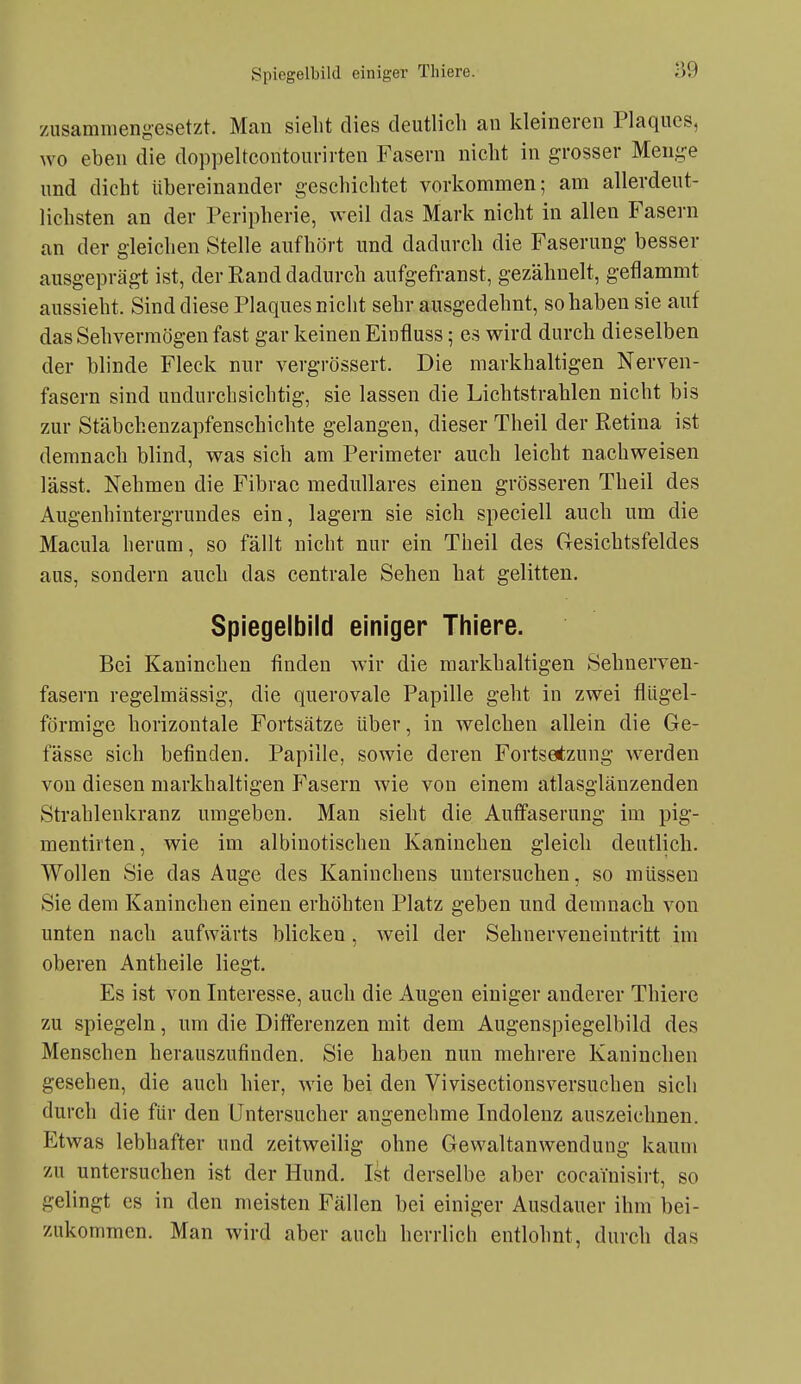 zusammengesetzt. Man sieht dies deutlich an kleineren Plaques, wo eben die doppeltcontonrirten Fasern nicht in grosser Menge und dicht übereinander geschichtet vorkommen; am allerdeut- lichsten an der Peripherie, weil das Mark nicht in allen Fasern an der gleichen Stelle aufhört und dadurch die Faserung besser ausgeprägt ist, der Rand dadurch aufgefranst, gezähnelt, geflammt aussieht. Sind diese Plaques nicht sehr ausgedehnt, so haben sie auf das Sehvermögen fast gar keinen Einfluss; es wird durch dieselben der blinde Fleck nur vergrössert. Die markhaltigen Nerven- fasern sind undurchsichtig, sie lassen die Lichtstrahlen nicht bis zur Stäbchenzapfenschichte gelangen, dieser Theil der Retina ist demnach blind, was sich am Perimeter auch leicht nachweisen lässt. Nehmen die Fibrac medulläres einen grösseren Theil des Augenhintergrundes ein, lagern sie sich speciell auch um die Macula herum, so fällt nicht nur ein Theil des Gresichtsfeldes aus, sondern auch das centrale Sehen hat gelitten. Spiegelbild einiger Thiere. Bei Kaninchen finden wir die markhaltigen Sehuerven- fasern regelmässig, die querovale Papille geht in zwei flligel- förmige horizontale Fortsätze über, in welchen allein die Ge- fässe sich befinden. Papille, sowie deren Fortsetzung werden von diesen markhaltigen P'asern wie von einem atlasglänzenden Strahlenkranz umgeben. Man sieht die Auffaserung im pig- mentirten, wie im albinotischeu Kaninchen gleich deutlich. Wollen Sie das Auge des Kaninchens untersuchen, so müssen Sie dem Kaninchen einen erhöhten Platz geben und demnach von unten nach aufwärts blicken, weil der Sehnerveueintritt im oberen Antheile liegt. Es ist von Interesse, auch die Augen einiger anderer Thiere zu spiegeln, um die Differenzen mit dem Augenspiegelbild des Menschen herauszufinden. Sie haben nun mehrere Kaninchen gesehen, die auch hier, wie bei den Vivisectionsversuchen sich durch die für den Untersucher angenehme Indolenz auszeichnen. Etwas lebhafter und zeitweilig ohne Gewaltanwendung kaum zu untersuchen ist der Hund. Ist derselbe aber cocainisirt, so gelingt es in den meisten Fällen bei einiger Ausdauer ihm bei- zukommen. Man wird aber auch herrlich entlohnt, durch das