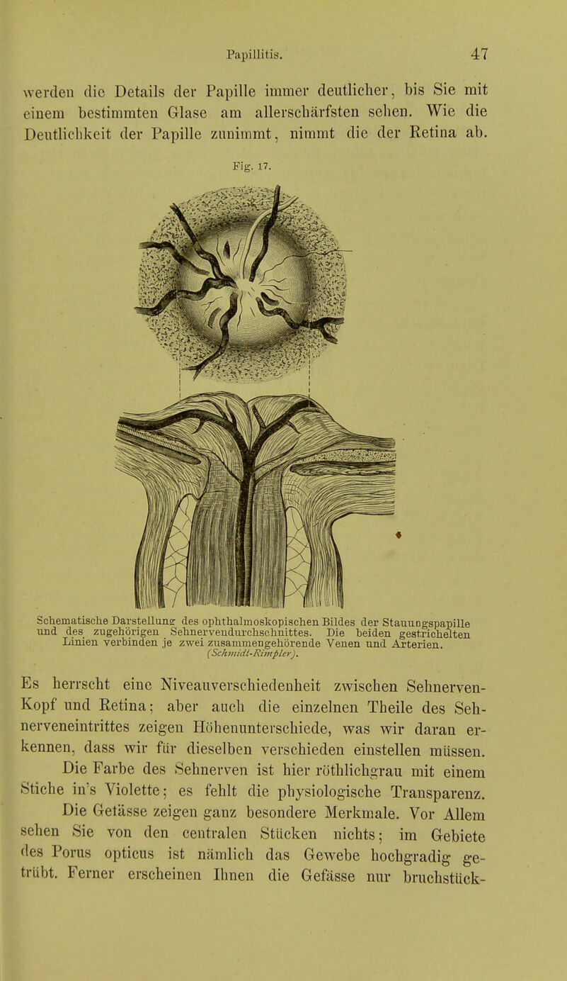 werden die Details der Papille immer deutlicher, bis Sie mit einem bestimmten Glase am allerschärfsten sehen. Wie die Deutlichkeit der Papille zunimmt, nimmt die der Retina ab. Fig. 17. Schematisclie Darstellung: des ophthalmoskopischen Bildes der Stauungspapille und des zugehörigen Sehnerveudurchschnittes. Die beiden gestrichelten Linien verbinden je zwei zusammengehörende Venen und Arterien. ( ScIimidt-RimpUr). Es herrscht eine Niveauverschiedenheit zwischen Sehnerven- Kopf und Retina; aber auch die einzelnen Theile des Seh- nerveneintrittes zeigen Höhenunterschiede, was wir daran er- kennen, dass wir für dieselben verschieden einstellen müssen. Die Farbe des Sehnerven ist hier röthlichgrau mit einem Stiche in's Violette; es fehlt die physiologische Transparenz. Die Getässe zeigen ganz besondere Merkmale. Vor Allem sehen Sie von den centralen Stücken nichts; im Gebiete des Porus opticus ist nämlich das Gewebe hochgradig ge- trübt. Ferner erscheinen Ihnen die Gefässe nur bruchstück-