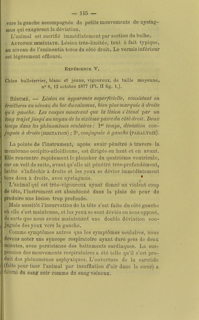 vers la gauche accompagnée de petits mouvements de nystàg- mus qui exagèrent la déviation. L'animal est sacrifié immédiatement par section du bulbe. Autopsie immédiate. Lésion très-limitée, tout à fait typique, au niveau-de l'eminentia teres du côté droit. Le vermis inférieur est légèrement effleuré. Expérience V. Chien bull-terrier, blanc et jeune, vigoureux, de taille moyenne, n° 6, 12 octobre 1877 (Pl. II fig. Résumé. — Lésion en apparence superficielle, consistant en èraillures au niveau du bec ducalamus, bien plus marquée à droite qu'à gaicche. Les coupes montrent que la lésion s'étend par un long trajet jusqu'au noyau de la sixième paire du côté droit. Deux temps dans les phénomènes oculaires : 1er temps, déviation con- juguée à droite (irritation) ; 2°, conjuguée à gauche (paralysie). La pointe de l'instrument, après avoir pénétré à travers la membrane occipito-atloïdienne, est dirigée en haut et en avant. Elle rencontre rapidement le plancher du quatrième ventricule, car on voit de suite, avant qu'elle ait pénétré très-profondément, latête s'infléchir à droite et les yeux se dévier immédiatement tous deux à droite, avec nystagmus. * L'animal qui est très-vigoureux ayant donné un violent coup de tête, l'instrument est abandonné dans la plaie de peur de produire une lésion trop profonde. Mais aussitôt l'incurvation de la tête s'est faite du côté gauche où elle s'est maintenue, et les yeux se sont déviés en sens opposé, I de sorte que nous avons maintenant une double déviation con- juguée des yeux vers la gauche. Comme symptômes autres que les symptômes oculaires, nous > devons noter une syncope respiratoire ayant duré près de deux minutes, avec persistance des battements cardiaques. La sus- pension des mouvements respiratoires a été telle qu'il s'est pro- duit des phénomènes asphyxiques. L'ouverture de la carotide (faite pour tuer l'animal par insufflation d'air dans le cœur) a fourni du sang noir comme du sang veineux.