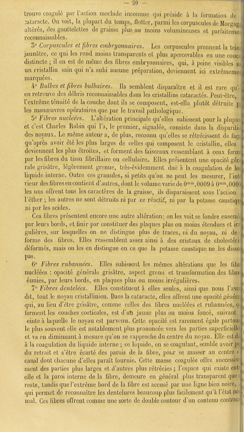 trouve coagulé par l'actiou morbide iuconuue qui préside à lu formation de cataracte. Ou voit, la plupart du temps, flotter, parmi les corpuscules de Morga altérés, des gouttelettes de graisse plus ou moins volumineuses et parfaiteme i reconnaissablcs. ' 3° Corpuscules et fibres embryonnaires. Les corpuscules prennent la teii jaunâtre, ce qui les rend moins transparents et plus apercevables en une cout distincte ; il en est de même des fibres embryonnaires, qui, à peine visibles s un cristallin sain qui n'a subi aucune préparation, deviennent ici extrêmemi marquées. 4° Bulbes et fibres bulbaires. Ils semblent disparaître et il est rare qu'/ en retrouve des débris reconnaissablcs dans les cristallins cataractés. Peut-être, • l'extrême ténuité de la couche dont ils se composent, est-elle plutôt détruite pj les manœuvres opératoires que par le travail pathologique. 5° Fibres nucléées. L'altération principale qu'elles subissent pour la plupaa et c'est Charles Robin qui l'a, le premier, signalée, consiste dans la disparitij des noyaux. Le même auteur a, de plus, reconnu qu'elles se rétrécissent de façç qu'après avoir été les plus larges de celles qui composent le cristallin, elles deviennent les plus étroites, et forment des faisceaux ressemblant à ceux forim par les fibres du tissu fibrillaire ou cellulaire. Elles présentent une opacité géa raie grisâtre, légèrement grenue, tiès-évidemment due à la coagulation de le« liquide interne. Outre ces granules, si petits qu'on ne peut les mesurer, l'inli rieur des fibres en contient d'autres, dont le volume varie de 0'>,0009 à O,OOO0 les uns offrent tous les caractères de la graisse, ils disparaissent sous l'action l'éther ; les autres ne sont détruits ni par ce réactif, ni par la potasse caustiqi|i jii par les acides. Ces fibres présentent encore une autre altération; on les voit se fondre ensemli par leurs bords, et.finir par constituer des plaques plus ou moins étendues et in gulières, sur lesquelles on ne distingue plus de traces, ni du noyau, ni de: forme des fibres. Elles ressemblent assez ainsi à des cristaux de cholestéri déformés, mais on les en distingue en ce que la potasse caustique ne les disse pas. 6° Fibres rubannées. Elles subissent les mêmes altérations que les fibn nucléées : opacité générale grisâtre, aspect grenu et transformation des fibrr éunies, par leurs bords, en plaques plus ou moins irrégulières. I 7 Fibres dentelées. Elles constituent à elles seules, ainsi que nous l'avoJ-, dit, tout le noyau cristallinien. Dans la cataracte, elles offrent une opacité génér; qui, au lieu d'être grisâtre, comme celles des fibres nucléées et rubannées, ç ^ forment les couches corticales, est d'uti jaune plus ou moins foncé, suivant einte à laquelle le noyau est parvenu. Cette opacité est rarement égale partoii le plus souvent elle est notablement plus prononcée vers les parties superilcielli et va en diminuant à mesure qu'on se rapproche du centre du noyau. Elle cstd à la coagulation du liquide interne ; ce liquide, eu se coagulant, semble avoir y- du retrait et s'êtie écarté des parois de la fibre, pour se masser au centre i canal dont chacune d'elles paraît fournie. Cette masse coagulée offre successiv ment des parties plus larges et d'autres plus rétrécies ; l'espace qui existe ent ^ elle et la paroi interne de la fibre, demeure en général plus transparent que reste, tandis que l'extrême bord de la fibre est accusé par une ligne bien noire, qui permet de reconnaître les dentelures beaucoup plus facilement qu'à l'état noi mal. Ces fibres offrent comme une sorte de double contour d'un contenu contrao