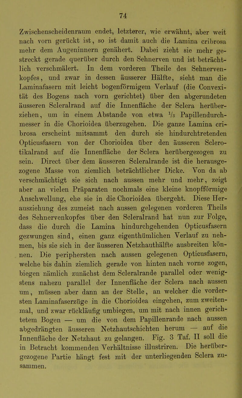 Zwischenscheidenraum endet, letzterer, wie erwähnt, aber weit nach vorn gerückt ist, so ist damit auch die Lamina cribrosa mehr dem Augeninnern genähert. Dabei zieht sie mehr ge- streckt gerade querüber durch den Sehnerven und ist beträcht- lich verschmälert. In dem vorderen Theile des Sehnerven- kopfes, und zwar in dessen äusserer Hälfte, sieht man die Laminafasern mit leicht bogenförmigem Verlauf (die Convexi- tät des Bogens nach vorn gerichtet) über den abgerundeten äusseren Scleralrand auf die Innenfläche der Sclera herüber- ziehen, um in einem Abstände von etwa Vs Papillendurch- messer in die Chorioidea überzugehen. Die ganze Lamina cri* brosa erscheint mitsammt den durch sie hindurchtretenden Opticusfasern von der Chorioidea über den äusseren Sclero- tikalrand auf die Innenfläche der Sclera herübergezogen zu sein. Direct über dem äusseren Scleralrande ist die herausge- zogene Masse von ziemlich beträchtlicher Dicke. Von da ab verschmächtigt sie sich nach aussen mehr und mehr, zeigt aber an vielen Präparaten nochmals eine kleine Imopfförmige Anschwellung, ehe sie in die Chorioidea übergeht. Diese Her- ausziehung des zumeist nach aussen gelegenen vorderen Theils des Sehnervenkopfes über den Scleralrand hat nun zur Folge, dass die durch die Lamina hindurchgehenden Opticusfasern gezwungen sind, einen ganz eigenthümlichen Verlauf zu neh- men, bis sie sich in der äusseren Netzhauthälfte ausbreiten kön- nen. Die periphersten nach aussen gelegenen Opticusfasern, welche bis dahin ziemlich gerade von hinten nach vorne zogen, biegen nämlich zunächst dem Scleralrande parallel oder wenig- stens nahezu parallel der Innenfläche der Sclera nach aussen um, müssen aber dann an der Stelle, an welcher die vorder- sten Laminafaserzüge in die Chorioidea eingehen, zum zweiten- mal, und zwar rückläufig umbiegen, um mit nach innen gerich- tetem Bogen — um die von dem Papillenrande nach aussen abgedrängten äusseren Netzhautschichten herum — auf die Innenfläche der Netzhaut zu gelangen. Fig. 3 Taf. II soll die in Betracht kommenden Verhältnisse illustriren. Die herüber- gezogene Partie hängt fest mit der unterliegenden Sclera zu- sammen.