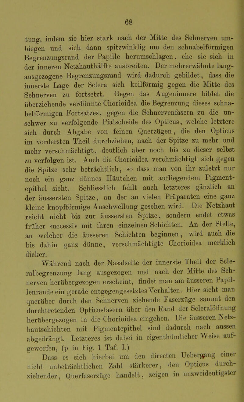 tung, indem sie hier stark nach der Mitte des Sehnerven um- biegen und sich dann spitzwinklig um den schnabelförmigen Begrenzungsrand der Papille herumschlagen, ehe sie sich in der inneren Netzhauthälfte ausbreiten. Der mehrerwähnte lang- ausgezogene Begrenzungsrand wird dadurch gebildet, dass die innerste Lage der Sclera sich keilförmig gegen die Mitte des Sehnerven zu fortsetzt. Gegen das Augeninnere bildet die überziehende verdünnte Chorioidea die Begrenzung dieses schna- belförmigen Fortsatzes, gegen die Sehnervenfasern zu die un- schwer zu verfolgende Piaischeide des Opticus, welche letztere sich durch Abgabe von feinen Querzügen, die den Opticus im vordersten Theil durchziehen, nach der Spitze zu mehr und mehr verschmächtigt, deutlich aber noch bis zu dieser selbst zu verfolgen ist. Auch die Chorioidea verchmächtigt sich gegen die Spitze sehr beträchtlich, so dass man von ihr zuletzt nur noch ein ganz dünnes Häutcheu mit aufliegendem Pigment- epithel sieht. Schliesslich fehlt auch letzteres gänzlich an der äussersten Spitze, an der an vielen Präparaten eine ganz kleine knopfförmige Anschwellung gesehen wird. Die Netzhaut reicht nicht bis zur äussersten Spitze, sondern endet etwas früher successiv mit ihren einzelnen Schichten. An der Stelle, an welcher die äusseren Schichten beginnen, wird auch die bis dahin ganz dünne, verschmächtigte Chorioidea merklich dicker. Während nach der Nasalseite der innerste Theil der Scle- ralbegrenzung lang ausgezogen und nach der Mitte des Seh- nerven herübergezogen erscheint, findet man am äusseren Papil- lenrandeein gerade entgegengesetztes Verhalten. Hier sieht man querüber durch den Sehnerven ziehende Faserzüge sammt den durchtretenden Opticusfasern über den Rand der Scleralöffnung herübergezogen in die Chorioidea eingehen. Die äusseren Netz- hautschichten mit Pigmentepithel sind dadurch nach aussen abgedrängt. Letzteres ist dabei in eigenthümlicher Weise auf- geworfen, (p in Fig. 1 Taf I.) Dass es sich hierbei um den directen üebergang einer nicht unl)eträchtlichcn Zahl stärkerer, den Opticus durch- ziehender, Querfaserzüge handelt, zeigen in unzweideutigster