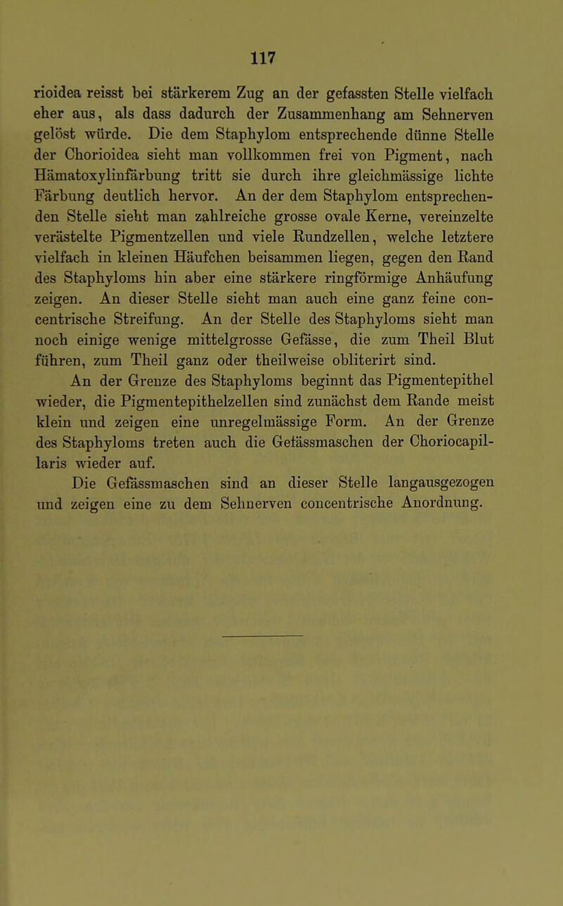 rioidea reisst bei stärkerem Zug an der gefassten Stelle vielfach eher aus, als dass dadurch der Zusammenhang am Sehnerven gelöst würde. Die dem Staphylom entsprechende dünne Stelle der Chorioidea sieht man vollkommen frei von Pigment, nach Hämatoxylinfärbung tritt sie durch ihre gleichmässige lichte Färbung deutlich hervor. An der dem Staphylom entsprechen- den Stelle sieht man zahlreiche grosse ovale Kerne, vereinzelte verästelte Pigmentzellen und viele Rundzellen, welche letztere vielfach in kleinen Häufchen beisammen liegen, gegen den Rand des Staphyloms hin aber eine stärkere ringförmige Anhäufung zeigen. An dieser Stelle sieht man auch eine ganz feine con- centrische Streifung. An der Stelle des Staphyloms sieht man noch einige wenige mittelgrosse Gefässe, die zum Theil Blut führen, zum Theil ganz oder theilweise obliterirt sind. An der Grenze des Staphyloms beginnt das Pigmentepithel wieder, die Pigmentepithelzellen sind zunächst dem Rande meist klein und zeigen eine unregelmässige Form. An der Grenze des Staphyloms treten auch die Getässraaschen der Choriocapil- laris wieder auf. Die Gefässmaschen sind an dieser Stelle langausgezogen und zeigen eine zu dem Sehnerven coucentrische Anordnung.