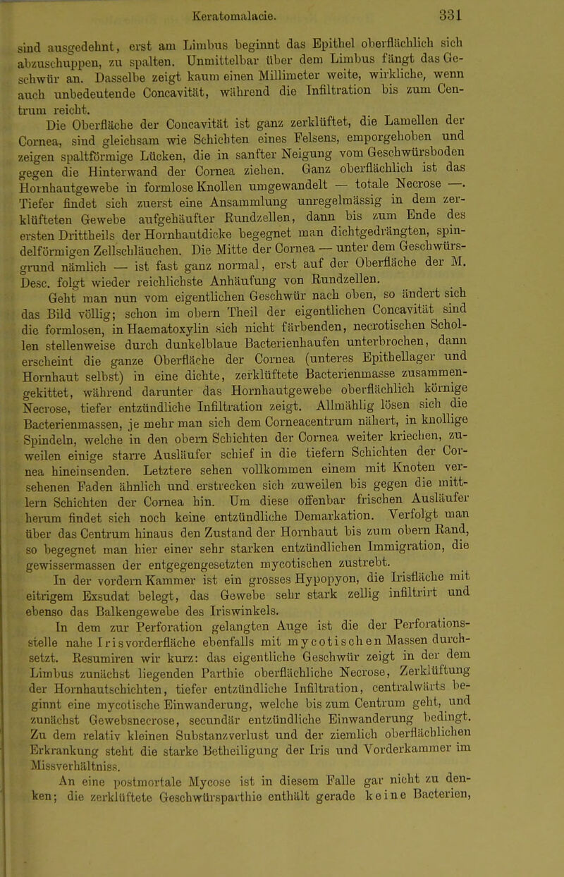 sind ausgedehnt, erst am Limbus beginnt das Epitliel oberflächlich sich abzuschuppen, zu spalten. Unmittelbar über dem Limbus fängt das Ge- schwür an. Dasselbe zeigt kaum einen Millimeter weite, wirkliche, wenn auch unbedeutende Concavität, während die Infiltration bis zum Cen- trum reicht. Die Oberfläche der Concavität ist ganz zerklüftet, die Lamellen der Cornea, sind gleichsam wie Schichten eines Felsens, emporgehoben und zeigen spaltförmige Lücken, die in sanfter Neigung vom Geschwürsboden gegen die Hinterwand der Cornea ziehen. Ganz oberflächlich ist das Hornhautgewebe in formlose Knollen umgewandelt — totale Necrose —. Tiefer findet sich zuerst eine Ansammlung unregelmässig in dem zer- klüfteten Gewebe aufgehäufter Kundzellen, dann bis zum Ende des ersten Drittheils der Hornhautdicke begegnet man dichtgedrängten, spin- delförmigen Zellschläuchen. Die Mitte der Cornea — unter dem Geschwürs- grand nämlich — ist fast ganz normal, erbt auf der Oberfläche der M. Desc. folgt wieder reichlichste Anhäufung von Eundzellen. Geht man nun vom eigentlichen Geschwür nach oben, so ändert sich das Bild völlig; schon im obern Theil der eigentlichen Concavität sind die formlosen, inHaematoxylin sich nicht färbenden, necrotischen Schol- len stellenweise durch dunkelblaue Bacterienhaufen unterbrochen, dann erscheint die ganze Oberfläche der Cornea (unteres Epithellager und Hornhaut selbst) in eine dichte, zerklüftete Bacterienmasse zusammen- gekittet, während darunter das Hornhautgewebe oberflächlich körnige Necrose, tiefer entzündliche Infiltration zeigt. Allmählig lösen sich die Bacterienmassen, je mehr man sich dem Corneacentrum nähert, in knollige Spindeln, welche in den obern Schichten der Cornea weiter kriechen, zu- weilen einige stan-e Ausläufer schief in die tiefern Schichten der Cor- nea hineinsenden. Letztere sehen vollkommen einem mit Knoten ver- sehenen Faden ähnlich und erstrecken sich zuweilen bis gegen die mitt- lem Schichten der Cornea hin. Um diese offenbar frischen Ausläufer herum findet sich noch keine entzündliche Demarkation. Verfolgt man über das Centrum hinaus den Zustand der Hornhaut bis zum obern Rand, so begegnet man hier einer sehr starken entzündlichen Immigration, die gewissermassen der entgegengesetzten mycotischen zustrebt. In der vordem Kammer ist ein grosses Hypopyon, die kisfläche mit eitrigem Exsudat belegt, das Gewebe sehr stark zellig infiltrirt und ebenso das Balkengewebe des Iriswinkels. In dem zur Perforation gelangten Auge ist die der Perforations- stelle nahe Iris vorderfläche ebenfalls mit mycotischen Massen durch- setzt. Resumiren wir kurz: das eigentliche Geschwür zeigt in der dem Limbus zunächst liegenden Parthie oberflächliche Necrose, Zerklüftung der Hornhautschichten, tiefer entzündliche Infiltration, centralwärts be- ginnt eine mycotische Einwanderung, welche bis zum Centrum geht, und zunächst Gewebsnecrose, secundär entzündliche Einwanderung bedingt. Zu dem relativ kleinen Substanzverlust und der ziemlich oberflächlichen Erkrankung steht die starke Betheiligung der Iris und Vorderkammer im Missverhältnis.s. An eine postmortale Mycose ist in diesem Falle gar nicht zu den- ken; die zerklüftete Geschwürsparthie enthält gerade keine Bacterien,