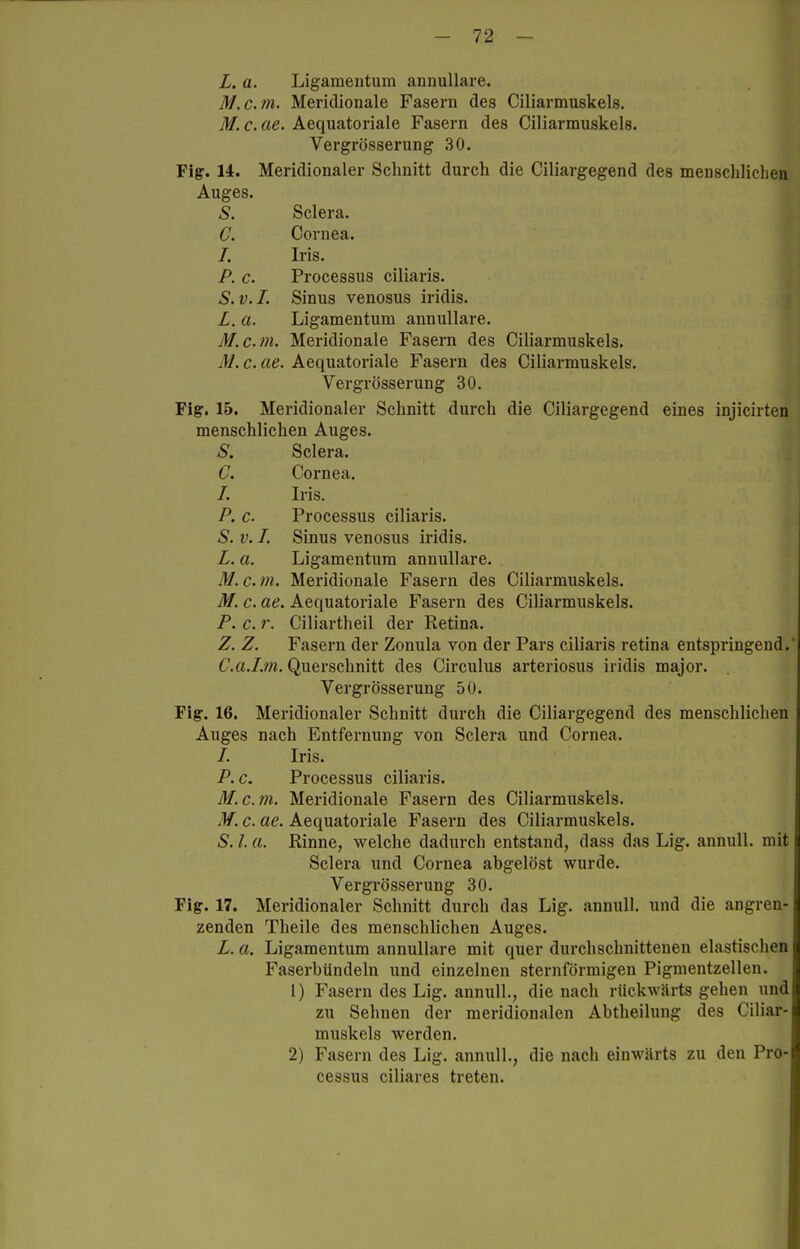 L. a. Ligamentum annuUare. M.c.m. Meridionale Fasern des Ciliarmuskels, M. c. ae. Aequatoriale Fasern des Ciliarmuskels. Vergrösserung 30. Fig. 14. Meridionaler Schnitt durch die Ciliargegend des menschlichen Auges. S. Sclera. C. Cornea. I. Iris. P. c. Processus ciliaris. S.v.I. Sinus venosus iridis. L. a. Ligamentum annullare. M.c.m. Meridionale Fasern des Ciliarmuskels. c. ae. Aequatoriale Fasern des Ciliarmuskels. Vergrösserung 30. Fig. 15. Meridionaler Schnitt durch die Ciliargegend eines injicirten menschlichen Auges. S. Sclera. C. Cornea. /. Iris. P. c. Processus ciliaris. S. V. I. Sinus venosus iridis. L. a. Ligamentum annullare. M.c.m. Meridionale Fasern des Ciliarmuskels. M. c. ae. Aequatoriale Fasern des Ciliarmuskels. P. c. r. Ciliartheil der Retina. Z. Z. Fasern der Zonula von der Pars ciliaris retina entspringend.' C.a.Lm. Querschnitt des Circulus arteriosus iridis major. Vergrösserung 50. Fig. 16. Meridionaler Schnitt durch die Ciliargegend des menschlichen Auges nach Entfernung von Sclera und Cornea. /. Iris. P.c. Processus ciliaris. M.c.m. Meridionale Fasern des Ciliarmuskels. M. c. ae. Aequatoriale Fasern des Ciliarmuskels. S. l a. Rinne, welche dadurch entstand, dass das Lig. annull. mit Sclera und Cornea abgelöst wurde. Vergrösserung 30. Fig. 17. Meridionaler Schnitt durch das Lig. annull. und die angren- zenden Theile des menschlichen Auges. L. a. Ligamentum annullare mit quer durchschnitteneu elastischen Faserbiindeln und einzelnen sternförmigen Pigmentzellen. 1) Fasern des Lig. annull., die nach rückwärts gehen und zu Sehnen der meridionalen Abtheilung des Ciliar- muskels werden. 2) Fasern des Lig. annull., die nach einwärts zu den Pro- cessus ciliares treten.