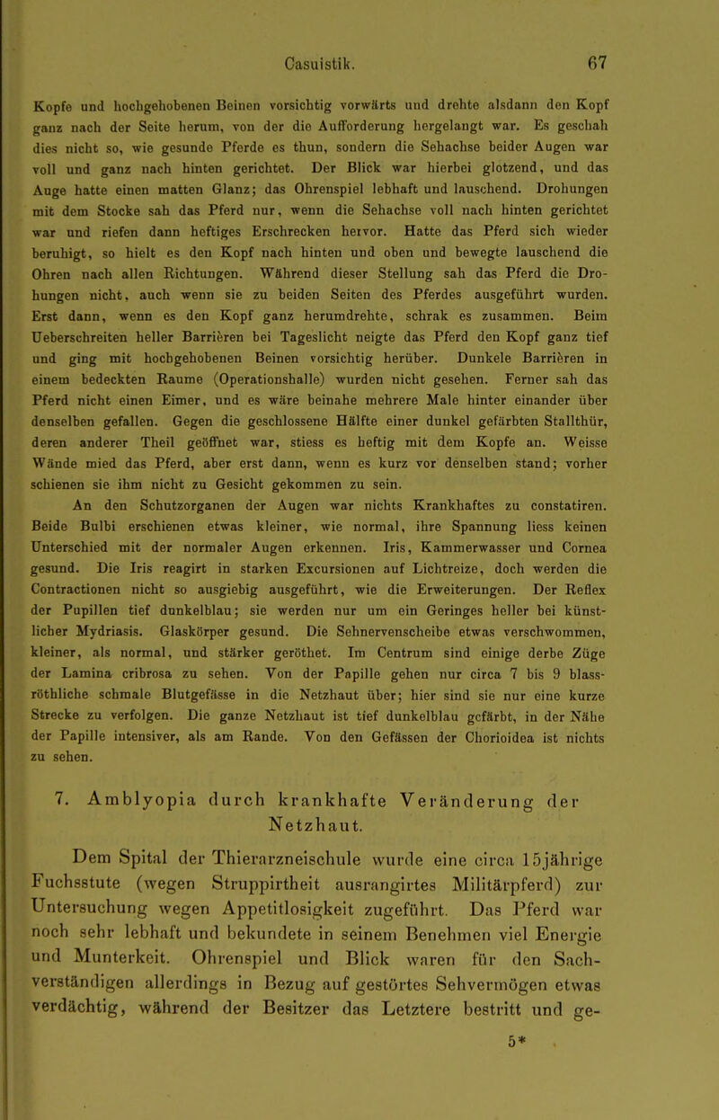 Kopfe und hochgehobenen Beinen vorsichtig vorwärts und drehte alsdann den Kopf ganz nach der Seite herum, von der die Aufforderung hergelangt war. Es geschah dies nicht so, wie gesunde Pferde es thun, sondern die Sehachse beider Augen war voll und ganz nach hinten gerichtet. Der Blick war hierbei glotzend, und das Auge hatte einen matten Glanz; das Ohrenspiel lebhaft und lauschend. Drohungen mit dem Stocke sah das Pferd nur, wenn die Sehachse voll nach hinten gerichtet war und riefen dann heftiges Erschrecken hervor. Hatte das Pferd sich wieder beruhigt, so hielt es den Kopf nach hinten und oben und bewegte lauschend die Ohren nach allen Richtungen. Während dieser Stellung sah das Pferd die Dro- hungen nicht, auch wenn sie zu beiden Seiten des Pferdes ausgeführt wurden. Erst dann, wenn es den Kopf ganz herumdrehte, schrak es zusammen. Beim Ueberschreiten heller Barrieren bei Tageslicht neigte das Pferd den Kopf ganz tief und ging mit hochgehobenen Beinen vorsichtig herüber. Dunkele Barriferen in einem bedeckten Eaume (Operationshalle) wurden nicht gesehen. Ferner sah das Pferd nicht einen Eimer, und es wäre beinahe mehrere Male hinter einander über denselben gefallen. Gegen die geschlossene Hälfte einer dunkel gefärbten Stallthür, deren anderer Theil geöffnet war, stiess es heftig mit dem Kopfe an. Weisse Wände mied das Pferd, aber erst dann, wenn es kurz vor denselben stand; vorher schienen sie ihm nicht zu Gesicht gekommen zu sein. An den Schutzorganen der Augen war nichts Krankhaftes zu constatiren. Beide Bulbi erschienen etwas kleiner, wie normal, ihre Spannung Hess keinen Unterschied mit der normaler Augen erkennen. Iris, Kammerwasser und Cornea gesund. Die Iris reagirt in starken Excursionen auf Lichtreize, doch werden die Contractionen nicht so ausgiebig ausgeführt, wie die Erweiterungen. Der Reflex der Pupillen tief dunkelblau; sie werden nur um ein Geringes heller bei künst- licher Mydriasis. Glaskörper gesund. Die Sehnervenscheibe etwas verschwommen, kleiner, als normal, und stärker geröthet. Im Centrum sind einige derbe Züge der Lamina cribrosa zu sehen. Von der Papille gehen nur circa 7 bis 9 blass- röthliche schmale Blutgefässe in die Netzhaut über; hier sind sie nur eine kurze Strecke zu verfolgen. Die ganze Netzhaut ist tief dunkelblau gefärbt, in der Nähe der Papille intensiver, als am Rande. Von den Gefässen der Chorioidea ist nichts zu sehen. 7, Amblyopia durch krankhafte Veränderung der Netzhaut. Dem Spital der Thierarzneischule wurde eine circa 15jährige Fuchsstute (wegen Struppirtheit ausrangirtes Militärpferd) zur Untersuchung wegen Appetitlosigkeit zugeführt. Das Pferd war noch sehr lebhaft und bekundete in seinem Benehmen viel Energie und Munterkeit. Ohrenspiel und Blick waren für den Sach- verständigen allerdings in Bezug auf gestörtes Sehvermögen etwas verdächtig, während der Besitzer das Letztere bestritt und ge- 5*