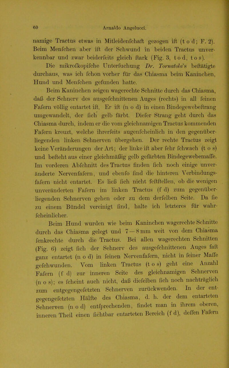 namigo Tractus etwas in Mitleidenfchaft gezogen ift (tod; F. 2). Beim Menfchen aber ift der Schwund in beiden Tractus unver- kennbar und zwar beiderfeits gleich ftark (Fig. 3, tod, tos). Die mikrofkopifche Unterfuchung Dr. Tornatolas beftätigte durchaus, was ich fchon vorher für das Chiasma beim Kaninchen, Hund und Menfchen gefunden hatte. Beim Kaninchen zeigen wagerechte Schnitte durch das Chiasma, daß der Sehnerv des ausgefchnittenen Auges (rechts) in all feinen Fafern völlig entartet ift. Er ift (n o d) in einen Bindegewebeftraug umgewandelt, der fich gelb färbt. Diefer Strang geht durch das Chiasma durch, indem er die vom gleichnamigen Tractus kommenden Fafern kreuzt, welche ihrerfeits augenfeheinlich in den gegenüber- liegenden linken Sehnerven übergehen. Der rechte Tractus zeigt keine Veränderungen der Art; der Unke ift aber fehr fchwach (t o s) und befteht aus einer gleichmäßig gelb gefärbten Bindegewebemaffe. Im vorderen Abfchnitt des Tractus finden fich noch einige unver- änderte Nervenfafern, und ebenfo find die hinteren Verbindungs- fafern nicht entartet. Es ließ fich nicht feftftellen, ob die wenigen unveränderten Fafern im linken Tractus (f d) zum gegenüber- liegenden Sehnerven gehen oder zu dem derfelben Seite. Da fie zu einem Bündel vereinigt find, halte ich letzteres für wahr- fcheinlicher. Beim Hund wurden wie beim Kaninchen wagerechte Schnitte durch das Chiasma gelegt und 7 —8 mm weit von dem Chiasma fenkrechte durch die Tractus. Bei allen wagerechten Schnitten (Fig. 6) zeigt fich der Sehnerv des ausgefchnittenen Auges faft ganz entartet (n o d) in feinen Nervenfafern, nicht in feiner Malle gefchwunden. Vom linken Tractus (t o s) geht eine Anzahl Fafern (f d) zur inneren Seite des gleichnamigen Sehnerven (n o s); es fcheint auch nicht, daß diefelben fich noch nachträglich zum entgegengefetzten Sehnerven zurückwenden. In der ent- gegengefetzten Hälfte des Chiasma, d. h. der dem entarteten Sehnerven (n o d) entfprechenden, findet man in ihrem oberen, inneren Theil einen fichtbar entarteten Bereich (f d), deffeü B'äJfem