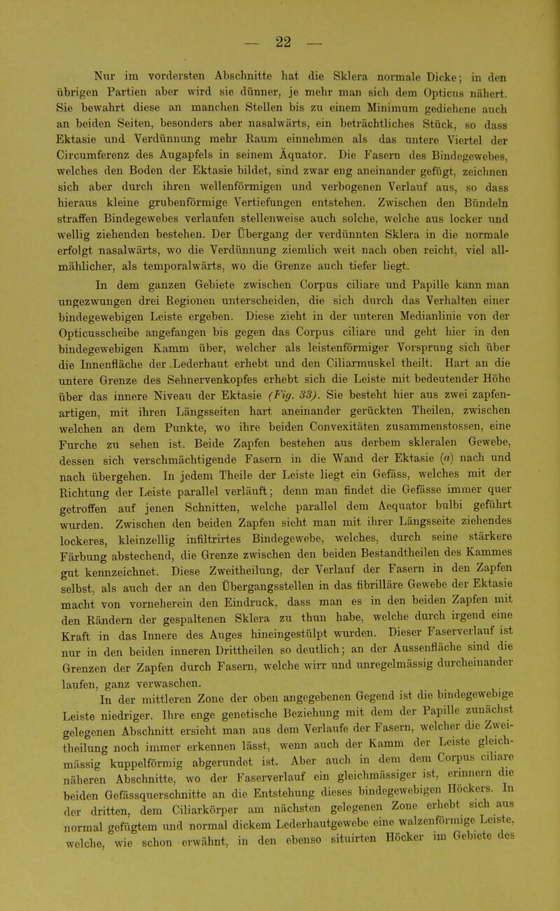 Nur im vordersten Abschnitte hat die Sklera normale Dicke; in den übrigen Partien aber wird sie dünner, je mehr man sich dem Opticus nähert. Sie bewahrt diese an manchen Stellen bis zu einem Minimum gediehene auch an beiden Seiten, besonders aber nasalwärts, ein beträchtliches Stück, so dass Ektasie und Verdünnung mehr Raum einnehmen als das untere Viertel der Circumferenz des Augapfels in seinem Äquator. Die Fasern des Bindegewebes, welches den Boden der Ektasie bildet, sind zwar eng aneinander gefügt, zeichnen sich aber durch ihren wellenförmigen und verbogenen Verlauf aus, so dass hieraus kleine grubenförmige Vertiefungen entstehen. Zwischen den Bündeln straffen Bindegewebes verlaufen stellenweise auch solche, welche aus locker und wellig ziehenden bestehen. Der Übergang der verdünnten Sklera in die normale erfolgt nasalwärts, wo die Verdünnung ziemlich weit nach oben reicht, viel all- mählicher, als temporalwärts, wo die Grenze auch tiefer liegt. In dem ganzen Gebiete zwischen Corpus ciliare und Papille kann man ungezwungen drei Regionen unterscheiden, die sich durch das Verhalten einer bindegewebigen Leiste ergeben. Diese zieht in der unteren Medianlinie von der Opticusscheibe angefangen bis gegen das Corpus ciliare und geht liier in den bindegewebigen Kamm über, welcher als leistenförmiger Vorsprung sich über die Innenfläche der .Lederhaut erhebt und den Ciliarmuskel theilt. Hart an die untere Grenze des Sehnervenkopfes erhebt sich die Leiste mit bedeutender Höhe über das innere Niveau der Ektasie (Fig. 33). Sie besteht hier aus zwei zapfen- artigen, mit ihren Längsseiten hart aneinander gerückten Theilen, zwischen welchen an dem Punkte, wo ihre beiden Convexitäten zusammenstossen, eine Furche zu sehen ist. Beide Zapfen bestehen aus derbem skleralen Gewebe, dessen sich verschmächtigende Fasern in die Wand der Ektasie («) nach und nach übergehen. In jedem Theile der Leiste liegt ein Gefäss, welches mit der Richtung der Leiste parallel verläuft; denn man findet die Gefässe immer quer getroffen auf jenen Schnitten, welche parallel dem Aequator bulbi geführt wurden. Zwischen den beiden Zapfen sieht man mit ihrer Längsseite ziehendes lockeres, kleinzellig infiltrirtes Bindegewebe, welches, durch seine stärkere Färbung abstechend, die Grenze zwischen den beiden Bestandteilen des Kammes gut kennzeichnet. Diese Zweitheilung, der Verlauf der Fasern in den Zapfen selbst, als auch der an den Übergangsstellen in das fibrilläre Gewebe der Ektasie macht von vorneherein den Eindruck, dass man es in den beiden Zapfen mit den Rändern der gespaltenen Sklera zu thun habe, welche durch irgend eine Kraft in das Innere des Auges hineingestülpt wurden. Dieser Faserverlauf ist nur in den beiden inneren Drittheilen so deutlich; an der Aussenfläche sind die Grenzen der Zapfen durch Fasern, welche wirr und unregelmässig durcheinander laufen, ganz verwaschen. In der mittleren Zone der oben angegebenen Gegend ist die bindegewebige Leiste niedriger. Ihre enge genetische Beziehung mit dem der Papille zunächsl gelegenen Abschnitt ersieht man aus dem Verlaufe der Fasern, welcher die Zwei- theilung noch immer erkennen lässt, wenn auch der Kamm der Leiste gleich- massig kuppeiförmig abgerundet ist. Aber auch in dem dem Corpus ciliare näheren Abschnitte, wo der Faserverlauf ein gleichmäßiger ist. ermnern die beiden Gefässquerschnitte an die Entstehung dieses bindegewebigen Höckers. In der dritten, dem Ciliarkörper am nächsten gelegenen Zone erhebt sich aus normal gefügtem und normal dickem Lederhautgewebo eine walzenförmige Leiste, welche, wie schon erwähnt, in den ebenso situirten Höcker im Gebiete des