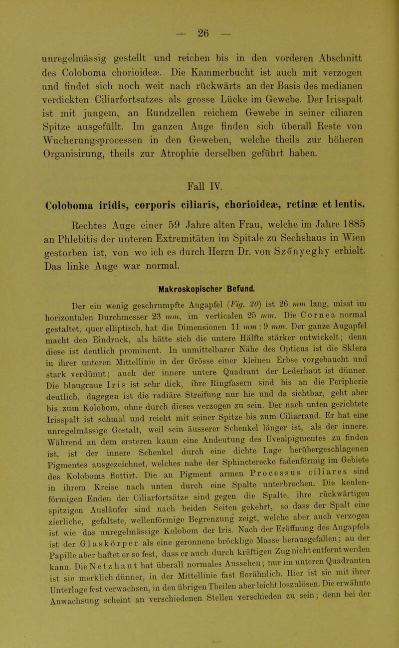 unregehnässig gestellt und reichen bis in den vorderen Abschnitt des Coloboma chorioidese. Die Kammerbucht ist auch mit verzogen und findet sich noch weit nach rückwärts an der Basis des medianen verdickten Ciliarfortsatzes als grosse Lücke im Gewebe. Der Irisspalt ist mit jungem, an Rundzellen reichem Gewebe in seiner ciliaren Spitze ausgefüllt. Im ganzen Auge finden sich überall Reste von Wucherungsprocessen in den Geweben, welche theils zur höheren Organisirung, theils zur Atrophie derselben geführt haben. Fall IV. Coloboma iridis, corporis ciliaris, chorioideae, retinae et lentis. Rechtes Auge einer 59 Jahre alten Frau, welche im Jahre 1885 an Phlebitis der unteren Extremitäten im Spitale zu Sechshaus in Wien gestorben ist, von wo ich es durch Herrn Dr. von Szönyeghy erhielt. Das linke Auge war normal. Makroskopischer Befund. Der ein wenig geschrumpfte Augapfel (Fig. 20) ist 26 mm laug, misst im horizontalen Durchmesser 23 mm, im verticalen 25 mm. Die Cornea normal gestaltet, quer elliptisch, hat die Dimensionen 11 mm :9 mm. Der ganze Augapfel macht den Eindruck, als hätte sich die untere Hälfte stärker entwickelt; denn diese ist deutlich prominent. In unmittelbarer Nähe des Opticus ist die Sklera in ihrer unteren Mittellinie in der Grösse einer kleinen Erbse vorgebaucht und stark verdünnt; auch der innere untere Quadrant der Lederhaut ist dünner. Die blaugraue Iris ist sehr dick, ihre Ringfasern sind bis an die Peripherie deutlich, dagegen ist die radiäre Streifung nur hie und da sichtbar, geht aber bis zum Kolobom, ohne durch dieses verzogen zu sein. Der nach unten gerichtete Irisspalt ist schmal und reicht mit seiner Spitze bis zum Cüiarrand. Er hat eine anregelmässige Gestalt, weil sein äusserer Schenkel länger ist, als der innere. Während an dem ersteren kaum eine Andeutung des Uvealpigmentes zu finden ist, ist der innere Schenkel durch eine dichte Lage herübergeschlagenen Pigmentes ausgezeichnet, welches nahe der Sphincterecke fadenförmig im Gebiete des Koloboms flottirt, Die an Pigment armen Processus ciliares sind in ihrem Kreise nach unten durch eine Spalte unterbrochen. Die keulen- förmigen Enden der Ciliarfortsätze sind gegen die Spalte, ihre rückwärtigen spitzigen Ausläufer sind nach beiden Seiten gekehrt, so dass der Spalt eine zierliche, gefaltete, wellenförmige Begrenzung zeigt, welche aber auch verzog» isi wie das unregelmässige Kolobom der Iris. Nach der Eröffnung des Augapfels ivi der Glaskörper als eine geronnene bröcklige Masse herausgefallen: an der Papille aber haftet er so fest, dass er auch durch kräftigen Zug nicht entfernt^werden kann Die N etz haut hat überall normales Aussehen; nur in, unten.., Quadranten is1 Sie merklieh dünner, in der Mittellinie fast florähnlich. Eier isi sie mri ihrer Unterbietest verwachsen, in den übrigen Theil,,. aberleichl loszulösen. Iheerwähnte Anwachsung scheint an verschiedenen Stellen verschieden zu sein; denn bei der