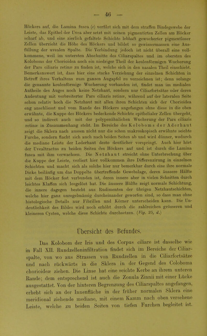 Höckers auf, die Lamina fusca («) verfilzt, sich mit dem straffen Bindegewebe der Leiste, das Epithel der üvea abersetzt mit seinen pigmentirten Zellen am Eöcker scharf ab, und eine zierlich gefaltete Schichte lebhaft gewucherter pigmentloser Zellen überzieht die Höhe des Höckers und bildet so gewissermassen eine ,\u-- fiillung der uvealen Spalte. Die Verbindung jedoch ist nicht überall eine voll- kommene, weil im untersten Abschnitte des Ciliarspaltes und im obersten dßt Koloboms der Chorioidea noch ein niedriger Theil der keulenförmigen Wucherung der Pars eiliaris retinae zu finden ist, welche sich in den nasalen Theil einschiebt. Bemerkenswert ist, dass hier eine starke Verziehung der einzelnen Schichten in Betreff ihres Verhaltens zum ganzen Augapfel zu verzeichnen ist; denn solange die genannte keulenförmige Wucherung vorhanden ist, findet man im medialen Antheile des Auges noch keine Netzhaut, sondern nur Ciliarfortsätze oder deren Andeutung mit verbreiterter Pars eiliaris retinae, während auf der lateralen Seite schon relativ hoch die Netzhaut mit allen ihren Schichten sich der Chorioidea eng anschliesst und vom Rande des Höckers angefangen ohne diese in die oben erwähnte, die Kuppe des Höckers bedeckende Schichte epithelialer Zellen übergeht, und so indirect auch mit der polypenähnlichen Wucherung der Pars eiliaris retinae in Zusammenhang steht. Im Bereiche des Koloboms der Ader haut zeigt die Sklera nach aussen nicht nur die schon makroskopisch erwähnte seichte Furche, sondern flacht sich auch nach beiden Seiten ab und wird dünner, wodurch die mediane Leiste der Lederhaut desto deutlicher vorspringt. Auch hier hört der üvealtractus zu beiden Seiten des Höckers auf und ist durch die Lamina fusca mit ihm verwachsen. Die Netzhaut streicht ohne Unterbrechung über die Kuppe der Leiste, verliert hier vollkommen ihre Differenzirung in einzelnen Schichten und macht sich als solche hier nur bemerkbar durch eine ihre normale Dicke beiläufig um das Doppelte übertreffende Gewebslage, deren äussere Hälfte mit dem Höcker fest verbunden ist, deren innere aber in vielen Schnitten durch leichtes Klaffen sich losgelöst hat. Die äussere Hälfte zeigt normale Schichtung, die innere dagegen besteht aus Rudimenten der übrigeu Netzhautschichten, welche hier ganz unregelmässig durcheinander geworfen sind, so dass man ohne histologische Details nur Fibrillen und Körner unterscheiden kann. Die Un- deutlichkeit des Bildes wird noch erhöht durch die zahlreichen grösseren und kleineren Cysten, welche diese Schichte durchsetzen. {Fig. 25, d.) Übersicht des Befundes. Das Kolobom der Iris und des Corpus ciliare ist dasselbe wie in Fall XII. Rundzelleninfiltration findet sich im Bereiche der Ciliar- spalte, von wo aus Strassen von Rundzellen in die Ciliarfortsätze und nach rückwärts in die Sklera in der Gegend des Coloboma chorioidea? ziehen. Die Linse hat eine seichte Kerbe an ihrem unteren Rande; dem entsprechend ist auch die Zonula Zinnii mit einer Lücke ausgestattet. Von der hinteren Begrenzung des Ciliarspaltes angefangen, erhebt sich an der Innenfläche in der früher normalen Sklera eine meridional ziehende mediane, mit einem Kamm nach oben versehene Leiste, welche zu beiden Seiten von tiefen Furchen begleitet ist.