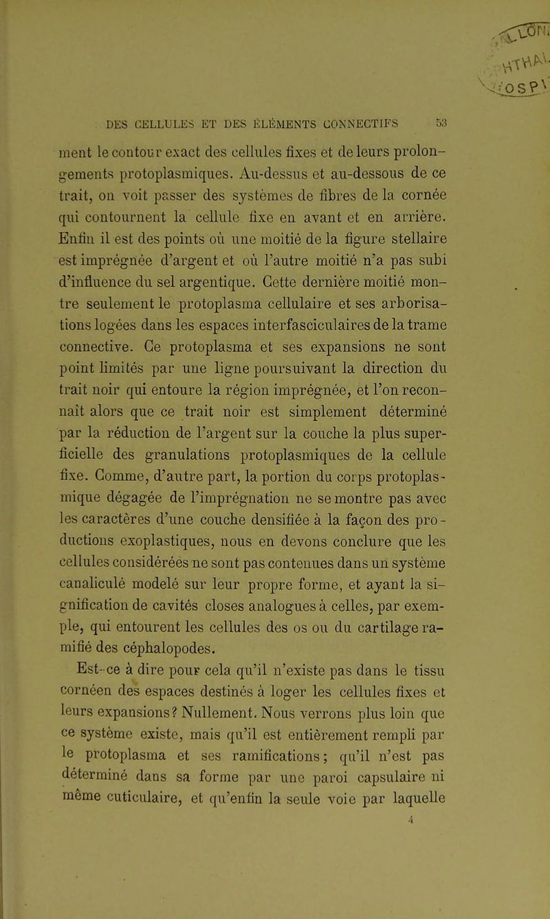ment le contour exact des cellules fixes et de leurs prolon- gements protoplasmiques. Au-dessus et au-dessous de ce trait, on voit passer des systèmes de fibres de la cornée qui contournent la cellule fixe en avant et en arrière. Enfin il est des points où une moitié de la figure stellaire est imprégnée d'argent et où l'autre moitié n'a pas subi d'influence du sel argentique. Cette dernière moitié mon- tre seulement le protoplasma cellulaire et ses arborisa- tions logées dans les espaces interfasciculairesdelatrame connective. Ce protoplasma et ses expansions ne sont point limités par une ligne poursuivant la direction du trait noir qui entoure la région imprégnée, et l'on recon- naît alors que ce trait noir est simplement déterminé par la réduction de l'argent sur la couche la plus super- ficielle des granulations protoplasmiques de la cellule fixe. Gomme, d'autre part, la portion du corps protoplas- mique dégagée de l'imprégnation ne se montre pas avec les caractères d'une couche densifiée à la façon des pro- ductions exoplastiques, nous en devons conclure que les cellules considérées ne sont pas contenues dans un système canaliculé modelé sur leur propre forme, et ayant la si- gnification de cavités closes analogues à celles, par exem- ple, qui entourent les cellules des os ou du cartilage ra- mifié des céphalopodes. Est- ce à dire pour cela qu'il n'existe pas dans le tissu cornéen des espaces destinés à loger les cellules fixes et leurs expansions? Nullement. Nous verrons plus loin que ce système existe, mais qu'il est entièrement rempli par le protoplasma et ses ramifications; qu'il n'est pas déterminé dans sa forme par une paroi capsulaire ni même cuticulaire, et qu'enfin la seule voie par laquelle