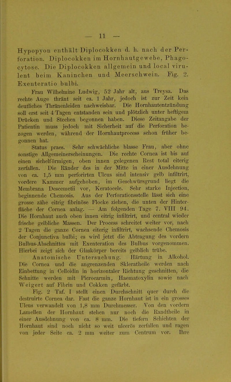 Hypopyon enthält Diplocokken d. h. nach der Per- foration. Diplocokken im Hornhautgewebe, Phago- cytose. Die Diplocokken allgemein und local viru- lent beim Kaninchen und Meerschwein. Fig. 2. Exenteratio bulbi. Frau Wilhelmine Ludwig, 52 Jahr alt, aus Treysa. Das rechte Auge thränt seit ca. 1 Jahr, jedoch ist zur Zeit kein deutliches Thränenleiden nachweisbar. Die Hornhautentzündung soll ei-st seit 4 Tagen entstanden sem und plötzlich unter heftigem Drücken und Stechen begonnen haben. Diese Zeitangabe der Patientin rauss jedoch mit Sicherheit auf die Perforation be- zogen werden, während der Honihautprocess schon früher be- gonnen hat. Status praes. Sehr schwächliche blasse Frau, aber ohne sonstige AUgemeinerscheinungen. Die rechte Cornea ist bis auf einen sichelfönnigen, oben innen gelegenen Rest total eiterig zerfallen. Die Ränder des in der Mtte in einer Ausdehnung von ca. 1,5 mm perforirten Ulcus sind intensiv gelb intilti-irt, vordere Kammer aufgehoben, im Geschwüi-sgrund liegt die Membrana Descemetü vor, Keratocele. Sehr starke Injection, beginnende Chemosis. Aus der Perfbrationsstelle lässt sich eine grosse zälie eitiig fibrinöse Flocke ziehen, die unten der Hinter- fläche der Cornea anlag. — Am folgenden Tage 7. VIII 94. Die Hornhaut auch oben innen eiti-ig infiltiirt, und centi-al wieder fi-ische gelbliche Massen. Der Process schreitet weiter vor, nach 2 Tagen die ganze Cornea eiterig infiltiirt, wachsende Chemosis der Conjunctiva bulbi; es wü-d jetzt die Abtragung des vordem Bulbus-Abschnittes mit Exenteration des Bulbus vorgenommen. Hierbei zeigt sich der Glaskörper bereits gelbhch ti-übe. Anatomische Untersuchung. Härtung in Alkohol. Die Cornea und die angrenzenden Skleratheile werden nach Einbettung in Celloidin in horizontaler Richtung geschnitten, die Schnitte werden mit Picrocarmin, Haematoxylin sowie nach Weigert auf Fibrin und Cokken gefärbt. Fig. 2 Taf. I stellt einen Durchschnitt quer durch die destniirte Coniea dar. Fast die ganze Hornhaut ist in ein grosses Ulcus veiTvandelt von 1,8 mm Durchmesser. Von den vordem Lamellen der Homhaut stehen nui- noch die Randtheile in einer Ausdehnung von ca. 8 mm. Die tiefem Schichten der Hornhaut sind noch nicht so weit ulcerös zerfallen und ragen von jeder Seite ca. 2 mm weiter zum Centrum vor. Ihre