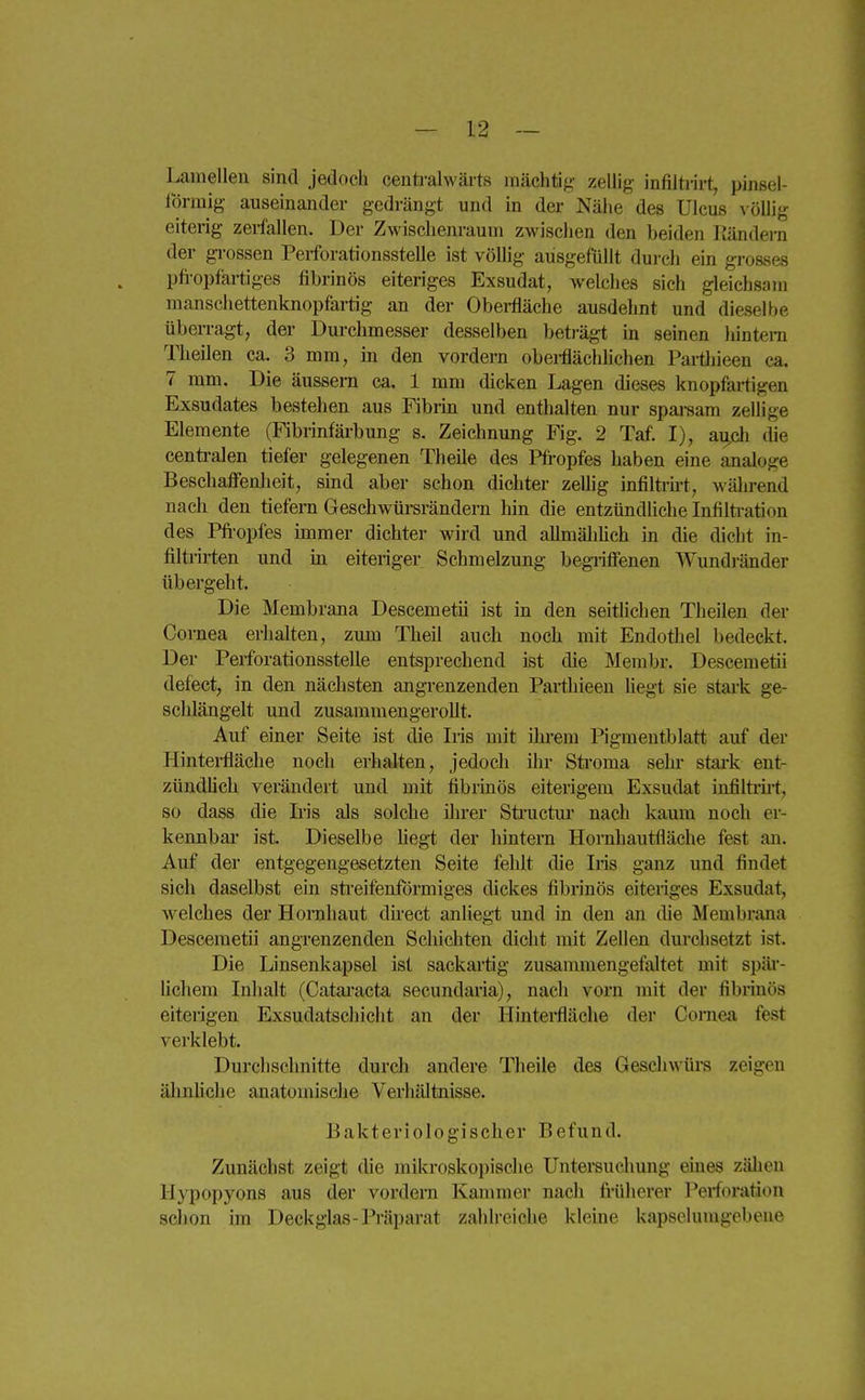 Lamellen sind jedoch centi-alwärts mächtig zeliig- infilti-irt, pinsel- förmig auseinander gedrängt und in der Nähe des Ulcus völlig eiterig zerfallen. Der Zwischenraum zwischen den beiden Rändern der gi-ossen Perforationsstelle ist völlig ausgefüllt dui-ch ein grosses pfi-opfartiges fibrinös eiteriges Exsudat, wek;hes sich gleichsam manschettenknopfartig an der Obei-fläche ausdehnt und dieselbe überragt, der Durchmesser desselben beträgt in seinen liintera Theilen ca. 3 mm, in den vordem obei-flächlichen PaiUiieen ca. 7 mm. Die äussern ca. 1 mm dicken Lagen dieses knopfartigen Exsudates bestehen aus Fibrin und enthalten nur spai-sam zellige Elemente (Fibrinfärbung s. Zeichnung Fig. 2 Taf. I), au.ch die centi-alen tiefer gelegenen Theile des Pfi-opfes haben eine analoge Beschaffenlieit, sind aber schon dichter zellig infiltrirt, A\'ährend nach den tiefem Geschwürsrändern hin die entzündliche Infiltration des Pfiopfes immer dichter wird und allmählich in die dicht in- filtrirten und in eiteriger Schmelzung begiitfenen Wundränder übergeht. Die Membrana Descemetü ist in den seitfichen Theilen der Cornea erhalten, zum Theil auch noch mit Endothel bedeckt. Der Perforationsstelle entsprechend ist die Membr. Descemetü defect, in den nächsten angrenzenden Parthieen hegt sie stai-k ge- schlängelt und zusammengerollt. Auf einer Seite ist die Iris mit ihrem Pigmentblatt auf der Hinterfläche noch erhalten, jedoch ihr Sti'oma sein* stai-k ent- zündlich verändert und mit fibrinös eiterigem Exsudat infiltrirt, so dass die Iris als solche üirer Stiuctui' nach kaum noch er- kennbai* ist. Dieselbe Megi der hintern Hornhautfläche fest an. Auf der entgegengesetzten Seite fehlt die Iris ganz und findet sich daselbst ein streifenförmiges dickes fibrinös eiteriges Exsudat, welches der Hornhaut direct anliegt und in den an die Membrana Descemetü angrenzenden Schichten dicht mit Zellen durchsetzt ist. Die Linsenkapsel ist sackartig zusammengefaltet mit spär- lichem Inhalt (Cataracta secundaria), nach vorn mit der fibrinös eiterigen Exsudatschicht an der Hinterfläche der Comesi fest verklebt. Durchschnitte durch andere Theile des Geschwürs zeigen älinliche anatomische Verhältnisse. Bakteriologischer Befund. Zunächst zeigt die mikroskopische Untersuchung eines zähen Hypopyons aus der vordem Kammer nach frfiherer Perforation schon im Deckglas-Präparat zahlreiche kleine kapsclumgebeue