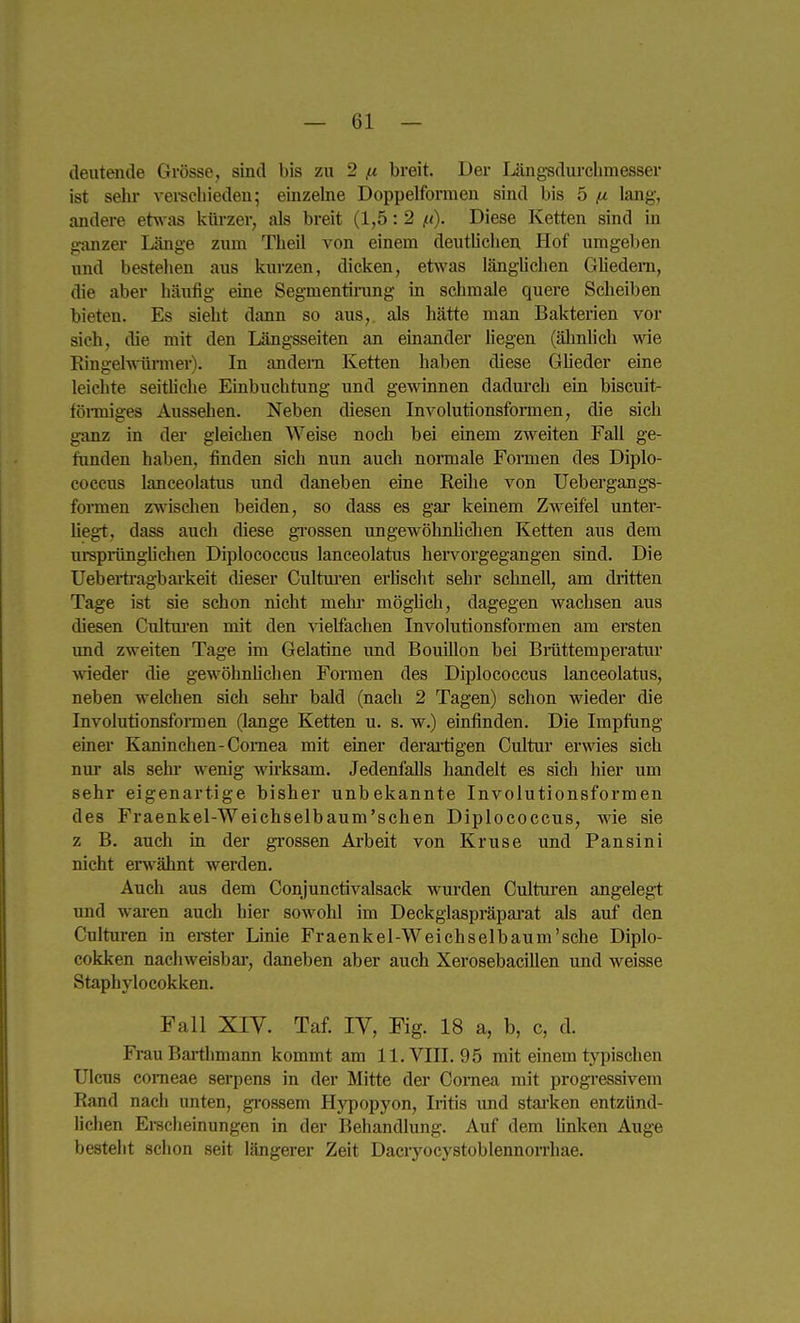 deutende Grösse, sind bis zu 2 ,u breit. Der Läng'sdurchmesser ist sehi- vei-scbieden; einzelne Doppelformen sind bis 5 ß lang, andere etwas kiu-zer, als breit (1,5: 2 i-t). Diese Ketten sind in ganzer Länge zum Theil von einem deutlichen, Hof umgeben und bestehen aus kui'zen, dicken, etwas längUchen Gliedern, die aber häufig eine Segmentining in sclimale quere Scheiben bieten. Es sieht dann so aus, als hätte man Bakterien vor sieh, die mit den Längsseiten an einander hegen (älmlich wie Kingelwüraier). In andern Ketten haben diese GUeder eine leichte seitliche Einbuchtung und gewinnen dadurch ein biscuit- fönniges Aussehen. Neben diesen Involutionsformen, die sich ganz in der gleichen Weise noch bei einem zweiten Fall ge- funden haben, finden sich nun auch nonnale Formen des Diplo- coccus lanceolatus und daneben eine ReUie von Uebergangs- fonnen zwischen beiden, so dass es gar keinem Zweifel unter- Uegt, dass auch diese gi'ossen ungewöhnlichen Ketten aus dem urspiüngüchen Diplococcus lanceolatus hervorgegangen sind. Die Uebeiii-agbai'keit dieser Cultm-en erlischt sehr schnell, am dritten Tage ist sie schon nicht mehr möglich, dagegen wachsen aus diesen Cultui-en mit den vielfachen Involutionsformen am ersten imd zweiten Tage im Gelatine und Bouillon bei Biüttemperatur wieder die gewöhnhchen Foimen des Diplococcus lanceolatus, neben welchen sich sehr bald (nach 2 Tagen) schon wieder die Involutionsfonnen (lange Ketten u. s. w.) einfinden. Die Impfung emer Kaninchen-Cornea mit einer deraiidgen Cultur erwies sich nur als sehr wenig wirksam. Jedenfalls handelt es sich hier um sehr eigenartige bisher unbekannte Involutionsformen des Fraenkel-Weichselbaum'schen Diplococcus, wie sie z B. auch m der gi'ossen Arbeit von Kruse und Pansini nicht erwähnt werden. Auch aus dem Conjunctivalsack wurden Culturen angelegt und wai-en auch hier sowohl im Deckglaspräpai-at als auf den Culturen in ei-ster Linie Fraenkel-Weichselbaum'sche Diplo- cokken nacliweisbai', daneben aber auch Xerosebacillen und weisse Staphylocokken. Fall XIV. Taf. IV, Fig. 18 a, b, c, d. Frau Bai-thmann kommt am ll.VIII. 95 mit einem t^^pischen Ulcus corneae sei-pens in der Mitte der Cornea mit progressivem Rand nach imten, gi'ossem Hypopyon, Iritis imd stai'ken entzünd- lichen Ei-scheinungen in der Behandlung. Auf dem hnken Auge besteht schon seit längerer Zeit Daciyocystoblennon-hae.