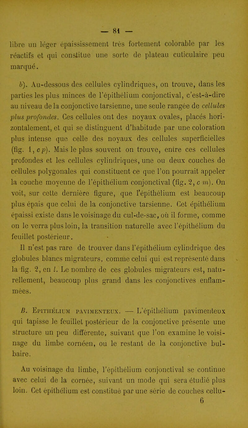 — 81 — libre un léger épaississemenl très fortement colorable par les réactifs et qui constitue une sorte de plateau cuticulaire peu marqué. b). Au-dessous des cellules cylindriques, on trouve, dans les parties les plus minces de l'épithélium conjonctival, c'est-à-dire au niveau delà conjonctive tarsienne, une seule rangée de cellules plus profondes. Ces cellules ont des noyaux ovales, placés hori- zontalement, et qui se distinguent d'habitude par une coloration plus intense que celle des noyaux des cellules superficielles (fig. i,c/?). Mais le plus souvent on trouve, entre ces cellules profondes et les cellules cylindriques, une ou deux couches de cellules polygonales qui constituent ce que l'on pourrait appeler la couche moyenne de l'épithélium conjonctival (fig. 2, c m). On voit, sur cette dernière figure, que l'épithélium est beaucoup plus épais que celui de la conjonctive tarsienne. Cet épithélium épaissi existe dans le voisinage du cul-de-sac, où il forme, comme on le verra plus loin, la transition naturelle avec l'épithélium du feuillet postérieur. Il n'est pas rare de trouver dans l'épithélium cylindrique des globules blancs migrateurs, comme celui qui est représenté dans la fig. 2, en /. Le nombre de ces globules migrateurs est, natu- rellement, beaucoup plus grand dans les conjonctives enflam- mées, B. EpmiÉLiuM PxVYiMENTEUx, — L'épithélium pavimenteux qui tapisse le feuillet postérieur de la conjonctive présente une structure un peu différente, suivant que l'on examine le voisi- nage du limbe cornéen, ou le restant de la conjonctive bul- baire. Au voisinage du limbe, l'épithélium conjonctival se continue avec celui de la cornée, suivant un mode qui sera étudié plus loin. Cet épithélium est constitué par une série de couches cellu-