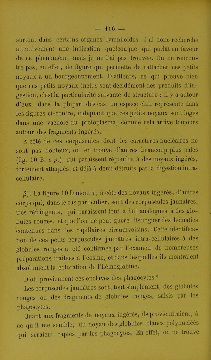 — lté — surloul dans cerlains organes lymplioïdes J'ai donc recherché allenlivement une indication quelcon |ue qui parlât en faveur de ce phénomène, mais je ne l'ai pas trouvée. On ne rencon- tre pas, en efiet, de figure qui permette de rattacher ces petits noyaux à un bourgeonnement. D'ailleurs, ce qui prouve bien que ces petits noyaux inclus sont décidément des produits d'in- gestion, c'est la particularité suivante de structure : il y a autour d'eux, dans la plupart des cas, un espace clair représenté dans les figures ci-contre, indiquant que ces petits noyaux sont logés dans une vacuole du protoplasma, comme cela arrive toujours autour des fragments ingérés. A. côté de ces corpuscules dont les caractères nucléaires ne sont pas douteux, on en trouve d'autres beaucoup plus pâles (fig. 10 B. op.), qui paraissent répondre à des noyaux ingérés, fortement attaqués, et déjà à demi détruits parla digestion intra- cellulaire. |3). La figure 10 D montre, à côté des noyaux ingérés, d'autres corps qui, dans le cas particulier, sont des corpuscules jaunâtres, très réfringents, qui paraissent tout à fait analogues à des glo- bules rouges, et que l'on ne peut guère distinguer des hématies contenues dans les capillaires circumvoisins. Cette identifica- tion de ces petits corpuscules jaunâtres intra-cellulaires à des globules rouges a été confirmée par l'examen de nombreuses préparations traitées à leosine, et dans lesquelles ils montraient absolument la coloration de l'hémoglobine. D'où proviennent ces enclaves des phagocytes ? Les corpuscules jaunâtres sont, tout simplement, des globules rouges ou des fragments de globules rouges, saisis par les phagocytes. Quant aux fragments de noyaux ingérés, ils proviendraient, à ce qu'il me semble, du noyau des globules blancs polynucléès qui seraient captés par les phagocytes. En efl'et, on ne trouve