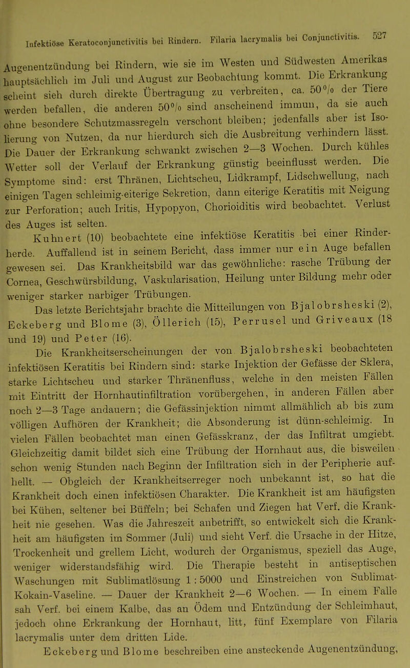 Aucrenentzündung bei Rindern, wie sie im Westen und Südwesten Amerikas hauptsächlich im Juh und August zur Beobachtung kommt. Die Erkrankung scheint sieh durch direkte Übertragung zu verbreiten, ca. 50/o der Tiere werden befallen, die anderen 50»/o sind anscheinend immun, da sie auch ohne besondere Schutzmassregeln verschont bleiben; jedenfalls aber ist Iso- herung von Nutzen, da nur hierdurch sich die Ausbreitung verhindern lässt. Die Dauer der Erkrankung schwankt zwischen 2-3 Wochen. Durch kühles Wetter soll der Verlauf der Erkrankung günstig beeinflusst werden. Die Symptome sind: erst Thränen, Lichtscheu, Lidkrampf, Lidschwellung, nach einigen Tagen schleimig-eiterige Sekretion, dann eiterige Keratitis mit Neigung zur Perforation; auch Iritis, Hypopyon, Chorioiditis wird beobachtet. Verlust des Auges ist selten. Kuhnert (10) beobachtete eine infektiöse Keratitis bei einer Rinder- herde. Auffallend ist in seinem Bericht, dass immer nur ein Auge befallen gewesen sei. Das Krankheitsbild war das gewöhnliche: rasche Trübung der Cornea, Geschwürsbildung, Vaskularisation, Heilung unter Bildung mehr oder weniger starker narbiger Trübungen. Das letzte Berichtsjahr brachte die Mitteilungen von Bjalobrsheski (2), Eckeberg und Blome (3), ÖUerich (15), Perrusel und Griveaux (18 und 19) und Peter (16). Die Krankheitserscheinungen der von Bjalobrsheski beobachteten infektiösen Keratitis bei Rindern sind: starke Injektion der Gefässe der Sklera, starke Lichtscheu und starker Thränenfluss, welche in den meisten Fällen mit Eintritt der HornhautinfiUration vorübergehen, in anderen Fällen aber noch 2—3 Tage andauern; die Gefässinjektion nimmt allmählich ab bis zum vöUigen Aufhören der Krankheit; die Absonderung ist dünn-schleimig. In vielen Fällen beobachtet man einen Gefässkranz, der das Infiltrat umgiebt. Gleichzeitig damit bildet sich eine Trübung der Hornhaut aus, die bisweilen schon wenig Stunden nach Beginn der Infiltration sich in der Peripherie auf- hellt. — Obgleich der Krankheitserreger noch unbekannt ist, so hat die Krankheit doch einen infektiösen Charakter. Die Krankheit ist am häufigsten bei Kühen, seltener bei Büffeln; bei Schafen und Ziegen hat Verf. die Krank- heit nie gesehen. Was die Jahreszeit anbetrifft, so entwickelt sich die Krank- heit am häufigsten im Sommer (Juli) und sieht Verf. die Ursache in der Hitze, Trockenheit und grellem Licht, wodurch der Organismus, speziell das Auge, weniger widerstandsfähig wird. Die Therapie besteht in antiseptischen Waschungen mit Sublimatlösung 1 :5000 und Einstreichen von Sublimat- Kokain-Vasehne. — Dauer der Krankheit 2—6 Wochen. — In einem Falle sah Verf. bei einem Kalbe, das an Ödem und Entzündung der Schleimhaut, jedoch ohne Erkrankung der Hornhaut, htt, fünf Exemplare von Filaria lacrymalis unter dem dritten Lide. Eckeberg und Blome beschreiben eine ansteckende Augenentzünduug,