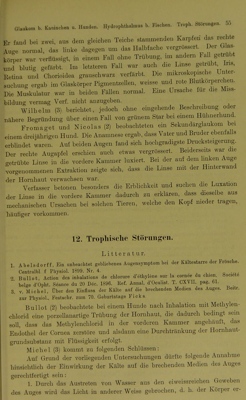 Glaukom b. Kaninchen u. Hunden. Hydrophthalmus b. Fischen. Troph. Störungen. 55 Er fand bei zwei, aus dem gleichen Teiche stammenden Karpfen das rechte Auge normal, das linke dagegen um das Halbfache vergrössert. Der Glas- köiper war verflüssigt, in einem Fall ohne Trübung, im andern Fall getrübt und blutig gefärbt. Im letzteren Fall war auch die Linse getrübt ins, Retina und Chorioidea grauschwarz verfärbt. Die mikroskopische Unter- suchung ergab im Glaskörper Pigmentzellen, weisse und rote Blutkörperchen. Die Muskulatur war in beiden Fällen normal. Eine Ursache für die Miss- bildung vermag Verf. nicht anzugeben. Wilhelm (3) berichtet, jedoch ohne eingehende Beschreibung oder nähere Begründung über einen Fall von grünem Star bei einem Hühnerhund. Fromaget und Nicolas (2) beobachteten ein Sekundärglaukom bei einem dreijährigen Hund. Die Anamnese ergab, dass Vater und Bruder ebenfalls erblindet waren. Auf beiden Augen fand sich hochgradigste Drucksteigerung. Der rechte Augapfel erschien auch etwas vergrössert. Beiderseits war die betrübte Linse in die vordere Kammer luxiert. Bei der auf dem linken Auge vorgenommenen Extraktion zeigte sich, dass die Linse mit der Hinterwand -der Hornhaut verwachsen war. Verfasser betonen besonders die Erblichkeit und suchen die Luxation der Linse in die vordere Kammer dadurch zu erklären, dass dieselbe aus mechanischen Ursachen bei solchen Tieren, welche den Kopf nieder tragen, Mutiger vorkommen. 12. Tropliisclie Störungen. Litterat ur. 1. Abelsdorff, Ein unbeachtet gebliebenes Augensymptom bei der Kältestarre der Frösche. Centralbl f Physiol. 1899. Nr. 4. , , . t,- a -a^a BuUot Action des inhalations de chlorure d'ethylene sur la cornee du chien. Soci6t6 ' beige d'Opht. Söance du 20 D6c. 1896. Ref. Annal. d'Oculist. T. CXVII. pag. 61. 3. V. Michel, Über den Einfluss der Kälte auf die brechenden Medien des Auges. Beitr. zur Physiol., Festschr. zum 70. Geburtstage Eicks. Bullot (2) beobachtete bei einem Hunde nach Inhalation mit Methylen- chlorid eine porzellanartige Trübung der Hornhaut, die dadurch bedingt sein soll, dass das Methylenchlorid in der vorderen Kammer angehäuft, das Endothel der Cornea zerstöre und alsdann eine Durchtränkung der Hornhaut- grundsubstanz mit Flüssigkeit erfolgt. Michel (3) kommt zu folgenden Schlüssen: Auf Grund der vorliegenden Untersuchungen dürfte folgende Annahme hinsichtlich der Einwirkung der Kälte auf die brechenden Medien des Auges gerechtfertigt sein: 1. Durch das Austreten von Wasser aus den eiweissreichen Geweben des Auges wird das Licht in anderer Weise gebrochen, d. h. der Körper er-