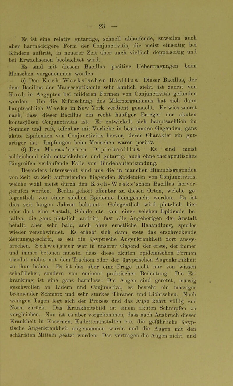 Es ist eine relativ gutartige, schnell ablaufende, zuweilen auch aber hartnäckigere Form der Conjunctivitis, die meist einseitig bei Kindern auftritt, in neuerer Zeit aber auch vielfach doppelseitig und bei Erwachsenen beobachtet wird. Es sind mit diesem Bacillus positive Uebertragungen beim Menschen vorgenommen worden. 5) Den Koch-Weeks'sehen Bacillus. Dieser Bacillus, der dem Bacillus der Mäuseseptikämie sehr ähnlich sieht, ist zuerst von Koch in Aegypten bei milderen Formen von Conjunctivitis gefunden worden. Um die Erforschung des Mikroorganismus hat sich dann hauptsächlich Weeks in New York verdient gemacht. Er wies zuerst nach, dass dieser Bacillus ein recht häufiger Erreger der akuten kontagiösen Conjunctivitis ist. Er entwickelt sich hauptsächlich im Sommer und ruft, offenbar mit Vorliebe in bestimmten Gegenden, ganz akute Epidemien von Conjunctivitis hervor, deren Charakter ein gut- artiger ist. Impfungen beim Menschen waren positiv. 6) Den Morax'schen Diplobacillus. Es sind meist schleichend sich entwickelnde und gutartig, auch ohne therapeutisches Eingreifen verlaufende Fälle von Bindehautentzündung. Besonders interessant sind uns die in manchen Himmelsgegenden von Zeit zu Zeit auftretenden fliegenden Epidemien von Conjunctivitis, welche wohl meist durch den Koch-Weeks'sehen Bacillus hervor- gerufen werden. Berlin gehört offenbar zu diesen Orten, welche ge- legentlich von einer solchen Epidemie heimgesucht werden. Es ist dies seit langen Jahren bekannt. Gelegentlich wird plötzlich hier oder dort eine Anstalt, Schule etc. von einer solchen Epidemie be- fallen, die ganz plötzlich auftritt, fast alle Angehörigen der Anstalt befällt, aber sehr bald, auch ohne ernstliche Behandlung, spurlos wieder verschwindet. Es erhebt sich dann stets das erschreckende Zeitungsgeschrei, es sei die ägyptische Augenkrankheit dort ausge- brochen. Schweigger war in unserer Gegend der erste, der immer und immer betonen musste, dass diese akuten epidemischen Formen absolut nichts mit dem Trachom oder der ägyptischen Augenkrankheit zu thun haben. Es ist das aber eine Frage nicht nur von wissen schaftlicher, sondern von eminent praktischer Bedeutung. Die Er- krankung ist eine ganz harmlose: Die Augen sind gerötet, mässig geschwollen an Lidern und Conjunctiva, es besteht ein massiger brennender Schmerz und sehr starkes Thränen und Lichtscheu. Nach wenigen Tagen legt sich der Prozess und das Auge kehrt völlig zur Norm zurück. Das Krankheitsbild ist einem akuten Schnupfen zu vergleichen. Nun ist es aber vorgekommen, dass nach Ausbruch dieser Krankheit in Kasernen, Kadettenanstalten etc. die gefährliche ägyp- tische Augenkrankheit angenommen wurde und die Augen mit den schärfsten Mitteln geätzt wurden. Das vertragen die Augen nicht, und