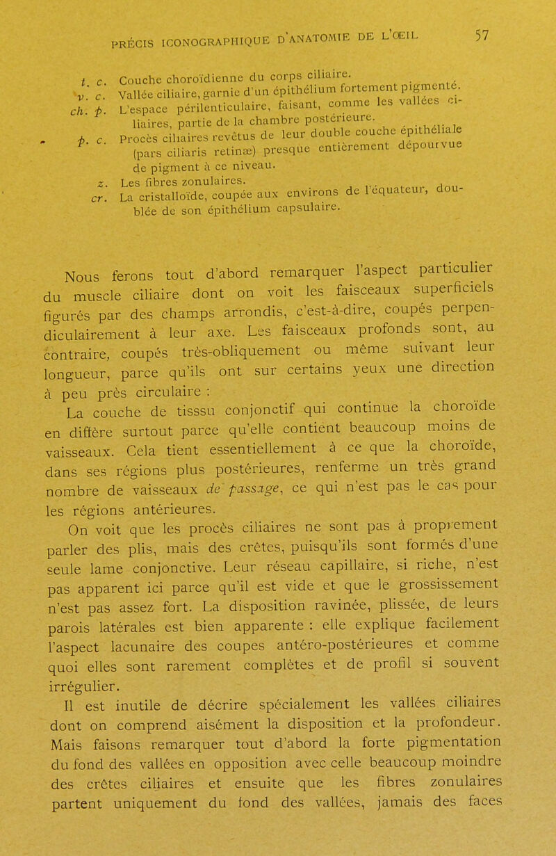 Couche choroïdicnne du corps ciliaire. Vallée ciliaire, garnie d'un épithélium fortement pigmenté ch l L'espace périlenticulaire, faisant, comme les vallées ci- liaires, partie de la chambre postérieure. , • rir lotir double couche epithchale Procès cihaires revêtus de leur auuuic . (pars ciliaris retin») presque entièrement dépourvue de pigment à ce niveau. z. Les fibres zonulaires. La cristalloïde, coupée aux environs de 1 equateur, dou- blée de son épithélium capsulaue. t. c. v. c. ■p. c. cr. Nous ferons tout d'abord remarquer l'aspect particulier du muscle ciliaire dont on voit les faisceaux superficiels figurés par des champs arrondis, c'est-à-dire, coupés perpen- diculairement à leur axe. Les faisceaux profonds sont, au contraire, coupés très-obliquement ou même suivant leur longueur, parce qu'ils ont sur certains yeux une direction à peu près circulaire : La couche de tisssu conjonctif qui continue la choroïde en diffère surtout parce qu'elle contient beaucoup moins de vaisseaux. Cela tient essentiellement à ce que la choroïde, dans ses régions plus postérieures, renferme un très grand nombre de vaisseaux de passage, ce qui n'est pas le cas pour les régions antérieures. On voit que les procès ciliaires ne sont pas à proprement parler des plis, mais des crêtes, puisqu'ils sont formés d'une seule lame conjonctive. Leur réseau capillaire, si riche, n'est pas apparent ici parce qu'il est vide et que le grossissement n'est pas assez fort. La disposition ravinée, plissée, de leurs parois latérales est bien apparente : elle explique facilement l'aspect lacunaire des coupes antéro-postérieures et comme quoi elles sont rarement complètes et de profil si souvent irrégulier. Il est inutile de décrire spécialement les vallées ciliaires dont on comprend aisément la disposition et la profondeur. Mais faisons remarquer tout d'abord la forte pigmentation du fond des vallées en opposition avec celle beaucoup moindre des crêtes ciliaires et ensuite que les fibres zonulaires partent uniquement du fond des vallées, jamais des faces