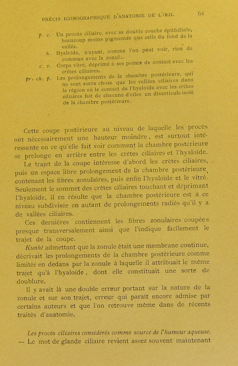 p. c. Un procès ciliaire, avec sa double couch« ' ni^m^nt^ ouc ce c du lune a<- ui beaucoup moins pigmcni.ee que ^ 6l voilée Hyaloïde, n'ayant, comme l'on peut voir, rien de commun avec la zonulj. Corps vitre, déprimé à ses points de contact avec les crè'tcs ciliaires. . . ér ch P les prolongements de la chambre postérieure qui Pr. ch. p. Le^ont/utre chose que les vallées ciliaires dans la région où le contact de l'hyaloïde avec les cretes ciliaires fait de chacune d'elles un divert.cule isole de la chambre postérieure. c. v. Cette coupe postérieure au niveau de laquelle les procès ont nécessairement une hauteur moindre, est surtout inté- ressante en ce qu'elle fait voir comment la chambre postérieure se prolonge en arrière entre les crêtes ciliaires et l'hyaloïde. Le trajet de la coupe intéresse d'abord les crêtes ciliaires, puis un espace libre prolongement de la chambre postérieure contenant les fibres zonulaires, puis enfin l'hyaloïde et le vitré. Seulement le sommet des crêtes ciliaires touchant et déprimant l'hyaloïde, il en résulte que la chambre postérieure est à ce niveau subdivisée en autant de prolongements radiés qu'il y a de vallées ciliaires. Ces dernières contiennent les fibres zonulaires coupées presque transversalement ainsi que l'indique facilement le trajet de la coupe. Kunht admettant que la zonule était une membrane continue, décrivait les prolongements de la chambre postérieure comme limités en dedans par la zonule à laquelle il attribuait le même trajet qu'à l'hyaloïde, dont elle constituait une sorte de doublure. 11 y avait là une double erreur portant sur la nature de la zonule et sur son trajet, erreur qui paraît encore admise par certains auteurs et que l'on retrouve même dans de récents traités d'anatomie. Les procès ciliaires considérés comme source de l'humeur aqueuse. — Le mot de glande ciliaire revient assez souvent maintenant