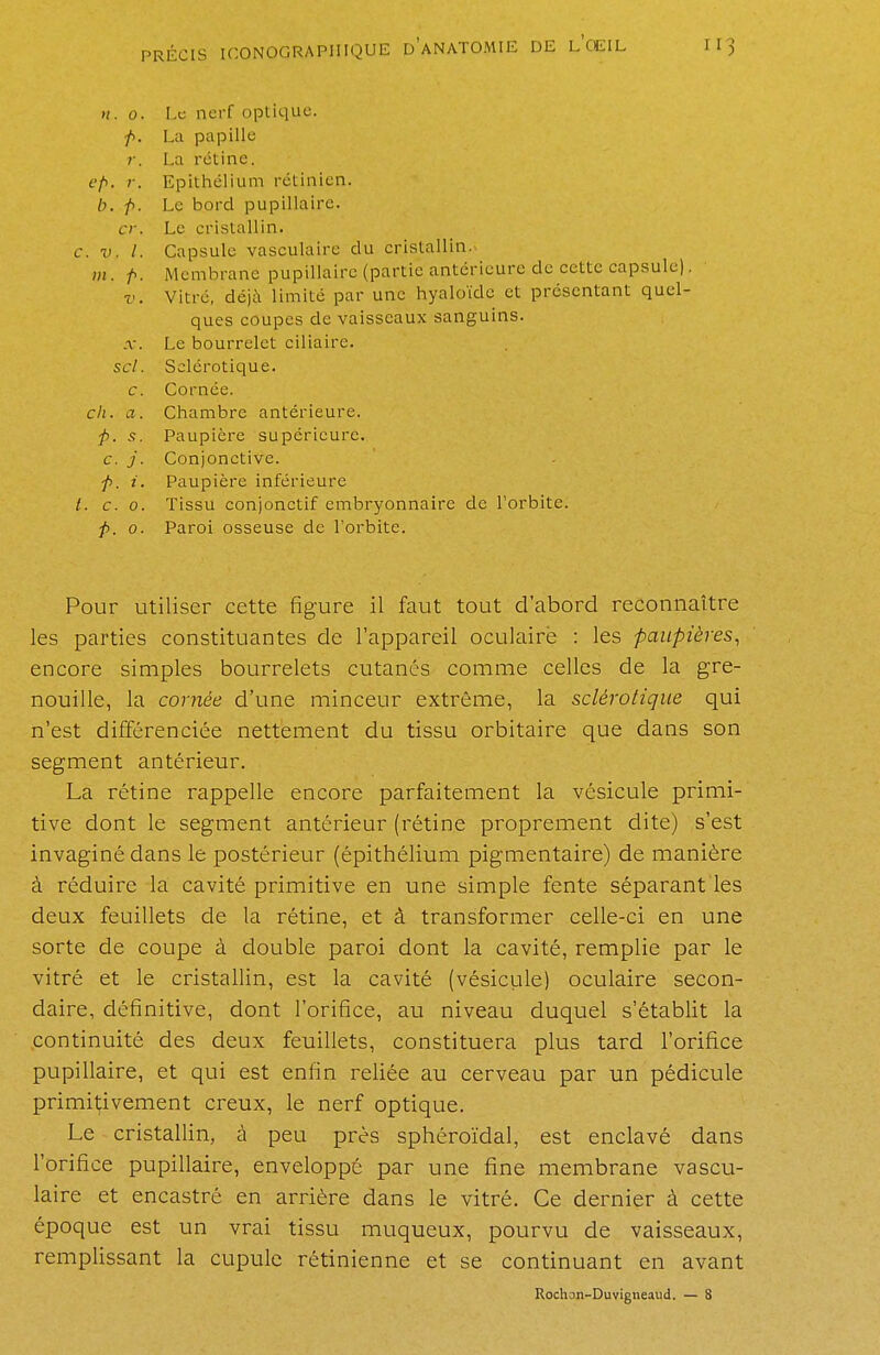 u. 0. Le nerf optique. p. La papille r. La rétine. ep. r. Epithélium rétinien. b. p. Le bord pupillaire. cr. Le cristallin. c. v. I. Capsule vasculaire du cristallin. m. p. Membrane pupillaire (partie antérieure de cette capsule). v. Vitré, déjà limité par une hyaloïde et présentant quel- ques coupes de vaisseaux sanguins. x. Le bourrelet ciliaire. sel. Sclérotique. c. Cornée. ch. a. Chambre antérieure. p. s. Paupière supérieure. c. j. Conjonctive. p. i. Paupière inférieure /. c. 0. Tissu conjonctif embryonnaire de l'orbite. p. 0. Paroi osseuse de l'orbite. Pour utiliser cette figure il faut tout d'abord reconnaître les parties constituantes de l'appareil oculaire : les paupières, encore simples bourrelets cutanés comme celles de la gre- nouille, la cornée d'une minceur extrême, la sclérotique qui n'est différenciée nettement du tissu orbitaire que dans son segment antérieur. La rétine rappelle encore parfaitement la vésicule primi- tive dont le segment antérieur (rétine proprement dite) s'est invaginé dans le postérieur (épithélium pigmentaire) de manière à réduire la cavité primitive en une simple fente séparant les deux feuillets de la rétine, et à transformer celle-ci en une sorte de coupe à double paroi dont la cavité, remplie par le vitré et le cristallin, est la cavité (vésicule) oculaire secon- daire, définitive, dont l'orifice, au niveau duquel s'établit la continuité des deux feuillets, constituera plus tard l'orifice pupillaire, et qui est enfin reliée au cerveau par un pédicule primitivement creux, le nerf optique. Le cristallin, à peu près sphéroïdal, est enclavé dans l'orifice pupillaire, enveloppé par une fine membrane vascu- laire et encastré en arrière dans le vitré. Ce dernier à cette époque est un vrai tissu muqueux, pourvu de vaisseaux, remplissant la cupule rétinienne et se continuant en avant Rochon-Duvigneaud. — 8