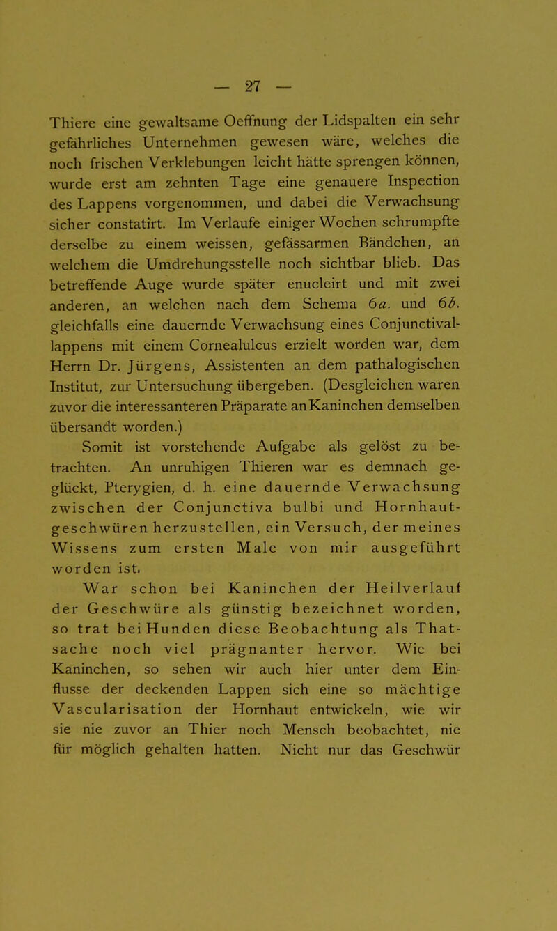 Thiere eine gewaltsame Oefifnung der Lidspalten ein sehr gefährliches Unternehmen gewesen wäre, welches die noch frischen Verklebungen leicht hätte sprengen können, wurde erst am zehnten Tage eine genauere Inspection des Lappens vorgenommen, und dabei die Verwachsung sicher constatirt. Im Verlaufe einiger Wochen schrumpfte derselbe zu einem weissen, gefässarmen Bändchen, an welchem die Umdrehungsstelle noch sichtbar blieb. Das betreffende Auge wurde später enucleirt und mit zwei anderen, an welchen nach dem Schema 6a. und 6b. gleichfalls eine dauernde Verwachsung eines Conjunctival- lappens mit einem Cornealulcus erzielt worden war, dem Herrn Dr. Jürgens, Assistenten an dem pathalogischen Institut, zur Untersuchung übergeben. (Desgleichen waren zuvor die interessanteren Präparate anKaninchen demselben übersandt worden.) Somit ist vorstehende Aufgabe als gelöst zu be- trachten. An unruhigen Thieren war es demnach ge- glückt, Pterygien, d. h. eine dauernde Verwachsung zwischen der Conjunctiva bulbi und Hornhaut- geschwüren herzustellen, ein Versuch, der meines Wissens zum ersten Male von mir ausgeführt worden ist. War schon bei Kaninchen der Heilverlauf der Geschwüre als günstig bezeichnet worden, so trat beiHunden diese Beobachtung als That- sache noch viel prägnanter hervor. Wie bei Kaninchen, so sehen wir auch hier unter dem Ein- flüsse der deckenden Lappen sich eine so mächtige Vascularisation der Hornhaut entwickeln, wie wir sie nie zuvor an Thier noch Mensch beobachtet, nie für möglich gehalten hatten. Nicht nur das Geschwür