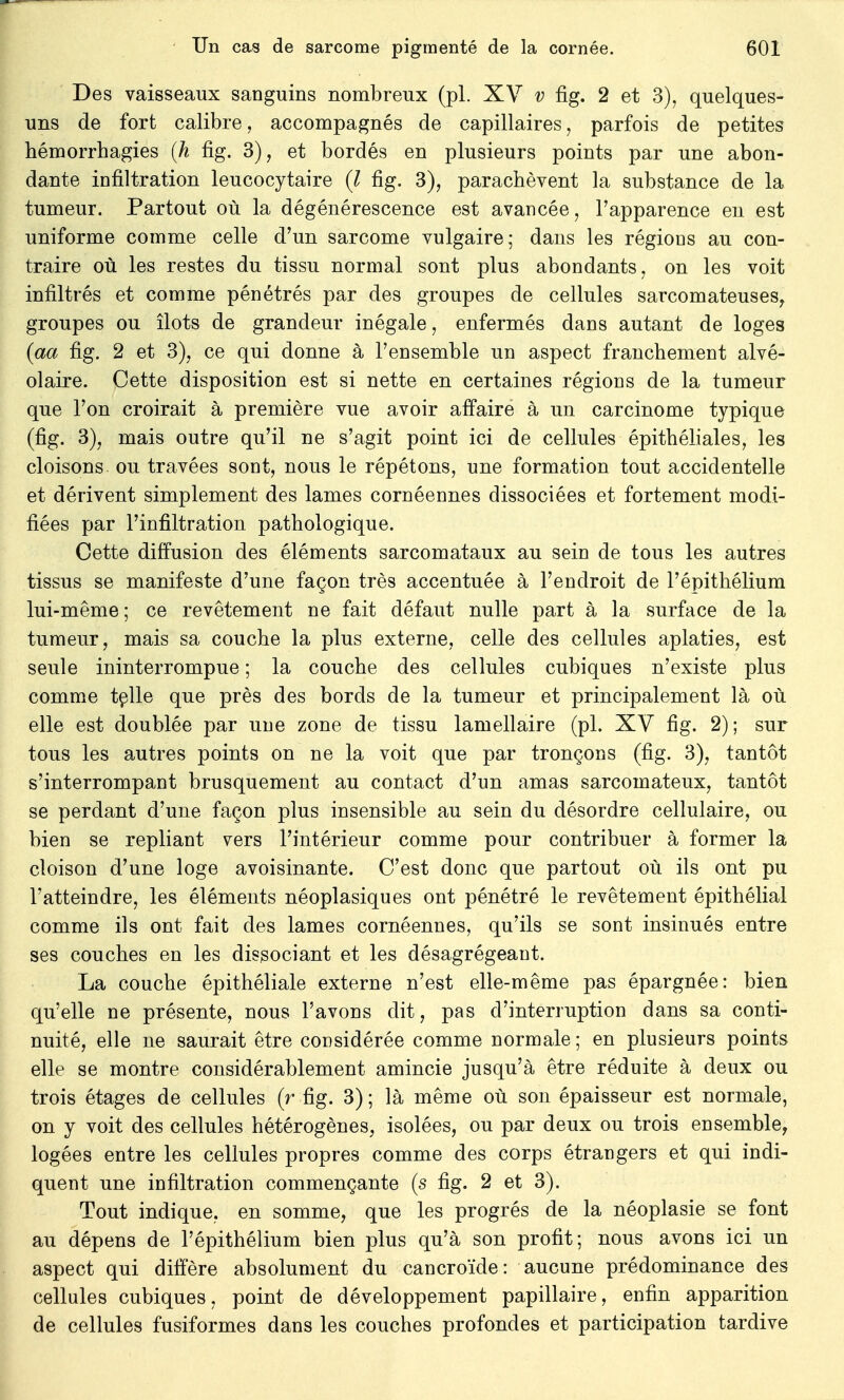 Des vaisseaux sanguins nombreux (pl. XV v fig. 2 et 3), quelques- uns de fort calibre, accompagnés de capillaires, parfois de petites hémorrhagies (h fig. 3), et bordés en plusieurs points par une abon- dante infiltration leucocytaire (7 fig. 3), parachèvent la substance de la tumeur. Partout où la dégénérescence est avancée, l'apparence en est uniforme comme celle d'un sarcome vulgaire; dans les régions au con- traire où les restes du tissu normal sont plus abondants, on les voit infiltrés et comme pénétrés par des groupes de cellules sarcomateuses, groupes ou îlots de grandeur inégale, enfermés dans autant de loges (aa fig. 2 et 3), ce qui donne à l'ensemble un aspect franchement alvé- olaire. Cette disposition est si nette en certaines régions de la tumeur que l'on croirait à première vue avoir affaire à un carcinome typique (fig. 3), mais outre qu'il ne s'agit point ici de cellules épithéliales, les cloisons ou travées sont, nous le répétons, une formation tout accidentelle et dérivent simplement des lames cornéennes dissociées et fortement modi- fiées par l'infiltration pathologique. Cette diffusion des éléments sarcomataux au sein de tous les autres tissus se manifeste d'une façon très accentuée à l'endroit de l'épithélium lui-même; ce revêtement ne fait défaut nulle part à la surface de la tumeur, mais sa couche la plus externe, celle des cellules aplaties, est seule ininterrompue ; la couche des cellules cubiques n'existe plus comme telle que près des bords de la tumeur et principalement là où elle est doublée par une zone de tissu lamellaire (pl. XV fig. 2); sur tous les autres points on ne la voit que par tronçons (fig. 3), tantôt s'interrompant brusquement au contact d'un amas sarcomateux, tantôt se perdant d'une façon plus insensible au sein du désordre cellulaire, ou bien se repliant vers l'intérieur comme pour contribuer à former la cloison d'une loge avoisinante. C'est donc que partout où ils ont pu l'atteindre, les éléments néoplasiques ont pénétré le revêtement épithélial comme ils ont fait des lames cornéennes, qu'ils se sont insinués entre ses couches en les dissociant et les désagrégeant. La couche épithéliale externe n'est elle-même pas épargnée: bien qu'elle ne présente, nous l'avons dit, pas d'interruption dans sa conti- nuité, elle ne saurait être considérée comme normale; en plusieurs points elle se montre considérablement amincie jusqu'à être réduite à deux ou trois étages de cellules (r fig. 3); là même où son épaisseur est normale, on y voit des cellules hétérogènes, isolées, ou par deux ou trois ensemble, logées entre les cellules propres comme des corps étrangers et qui indi- quent une infiltration commençante (s fig. 2 et 3). Tout indique, en somme, que les progrés de la néoplasie se font au dépens de l'épithélium bien plus qu'à son profit; nous avons ici un aspect qui diffère absolument du cancroïde: aucune prédominance des cellules cubiques, point de développement papillaire, enfin apparition de cellules fusiformes dans les couches profondes et participation tardive