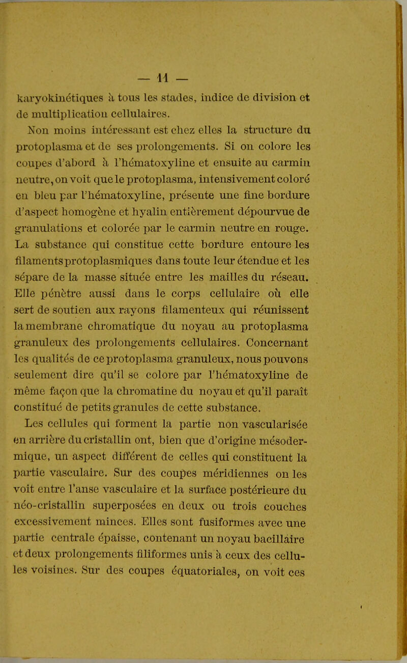 karyokinétiques à tous les stades, indice de division et de multiplication cellulaires. Non moins intéressant est chez elles la structure du protoplasma et de ses prolongements. Si on colore les coupes d'abord à l'hématoxyline et ensuite au carmin neutre, on voit que le protoplasma, intensivement coloré en bleu par l'hématoxyline, présente une fine bordure d'aspect homogène et hyalin entièrement dépourvue de granulations et colorée par le carmin neutre en rouge. La substance qui constitue cette bordure entoure les hlamentsprotoplasmiques dans toute leur étendue et les sépare de la masse située entre les mailles du réseau. Elle pénètre aussi dans le corps cellulaire où elle sert de soutien aux rayons filamenteux qui réunissent la membrane chromatique du noyau au protoplasma granuleux des prolongements cellulaires. Concernant les qualités de ce protoplasma granuleux, nous pouvons seulement dire qu'il se colore par l'hématoxyline de même façon que la chromatine du noyau et qu'il paraît constitué de petits granules de cette substance. Les cellules qui forment la partie non vascularisée en arrière du cristallin ont, bien que d'origine mésoder- mique, un aspect différent de celles qui constituent la partie vasculaire. Sur des coupes méridiennes on les voit entre l'anse vasculaire et la surface postérieure du néo-cristallin superposées en deux ou trois couches excessivement minces. Elles sont fusiformes avec une partie centrale épaisse, contenant un noyau bacillaire et deux prolongements filiformes unis à ceux des cellu- les voisines. Sur des coupes équatoriales, on voit ces