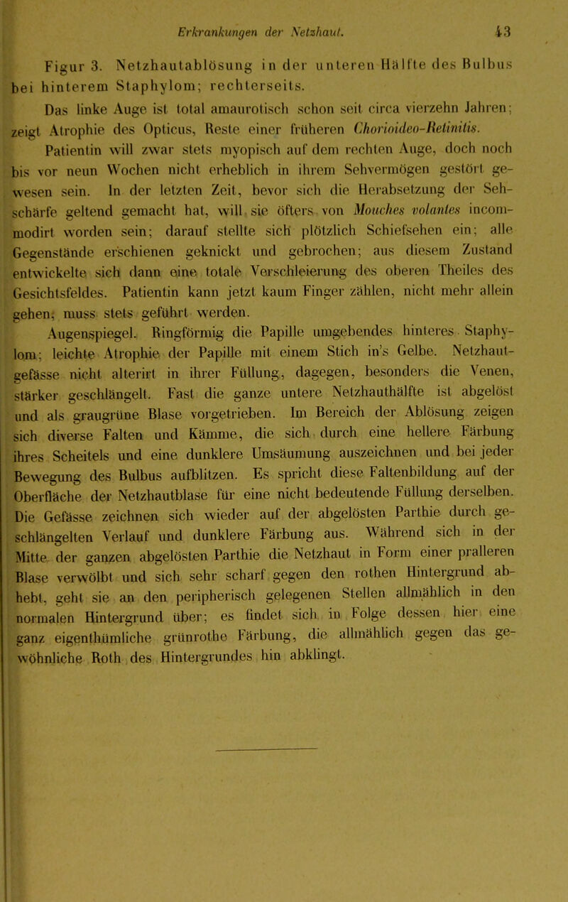 Figur 3. Netzhautablösung in der unteren Hälfte des Bulbus bei hinterem Staphylom; rechterseits. Das linke Auge ist total amaurotisch schon seil circa vierzehn Jahren; zeiyt Atrophie des Opticus, Reste einer früheren Chorioideo-Retinitis. Patientin will ZWär stets myopisch auf dem rechten Auge, doch noch bis vor neun Wochen nicht erheblich in ihrem Sehvermögen gestört ge- wesen sein. In der letzten Zeit, bevor sich die Eierabsetzung der Seh- schärfe geltend gemacht hat, will sie öfters von Mouches volanies incom- modirt worden sein; darauf stellte sich plötzlich Schiefsehen ein; alle Gegenstände erschienen geknickt und gebrochen; aus diesem Zustand entwickelte sich dann eine totale Verschleieruni; des oberen Theiles des Gesichtsfeldes. Patientin kann jetzt kaum Finger zählen, nicht mehr allein gehen, nmss stets geführt werden. Augenspiegel. Ringförmig die Papille umgebendes hinteres Staphy- lom; leichte Atrophie der Papille mit einem Stich in's Gelbe. Netzhaut- gefässe nicht alterirt in ihrer Füllung, dagegen, besonders die Venen, stärker geschlängelt. Fast die ganze untere Netzhauthälfte ist abgelöst und als graugrüne Blase vorgetrieben. Im Bereich der Ablösung zeigen sich diverse Falten und Kämme, die sich durch eine hellere Färbung ihres Scheitels und eine dunklere Umsäumung auszeichnen und bei jeder Bewegung des Bulbus aufblitzen. Es spricht diese Faltenbildung auf der Oberfläche der Netzhautblase für eine nicht bedeutende Füllung derselben. Die Gefässe zeichnen sich wieder auf der abgelösten Parthie durch ge- schlängelten Verlauf und dunklere Färbung aus. Während sich in der Mitte der ganzen abgelösten Parthie die Netzhaut in Form einer pralleren Blase verwölbt und sich sehr scharf gegen den rothen Hintergrund ab- hebt, geht sie an den peripherisch gelegenen Stellen allmählich in den normalen Hintergrund über; es findet sich in Folge dessen hier eine ganz eigenthümliche grünrothe Färbung, die allmählich gegen das ge- wöhnliche Roth des Hintergrundes hin abklingt.