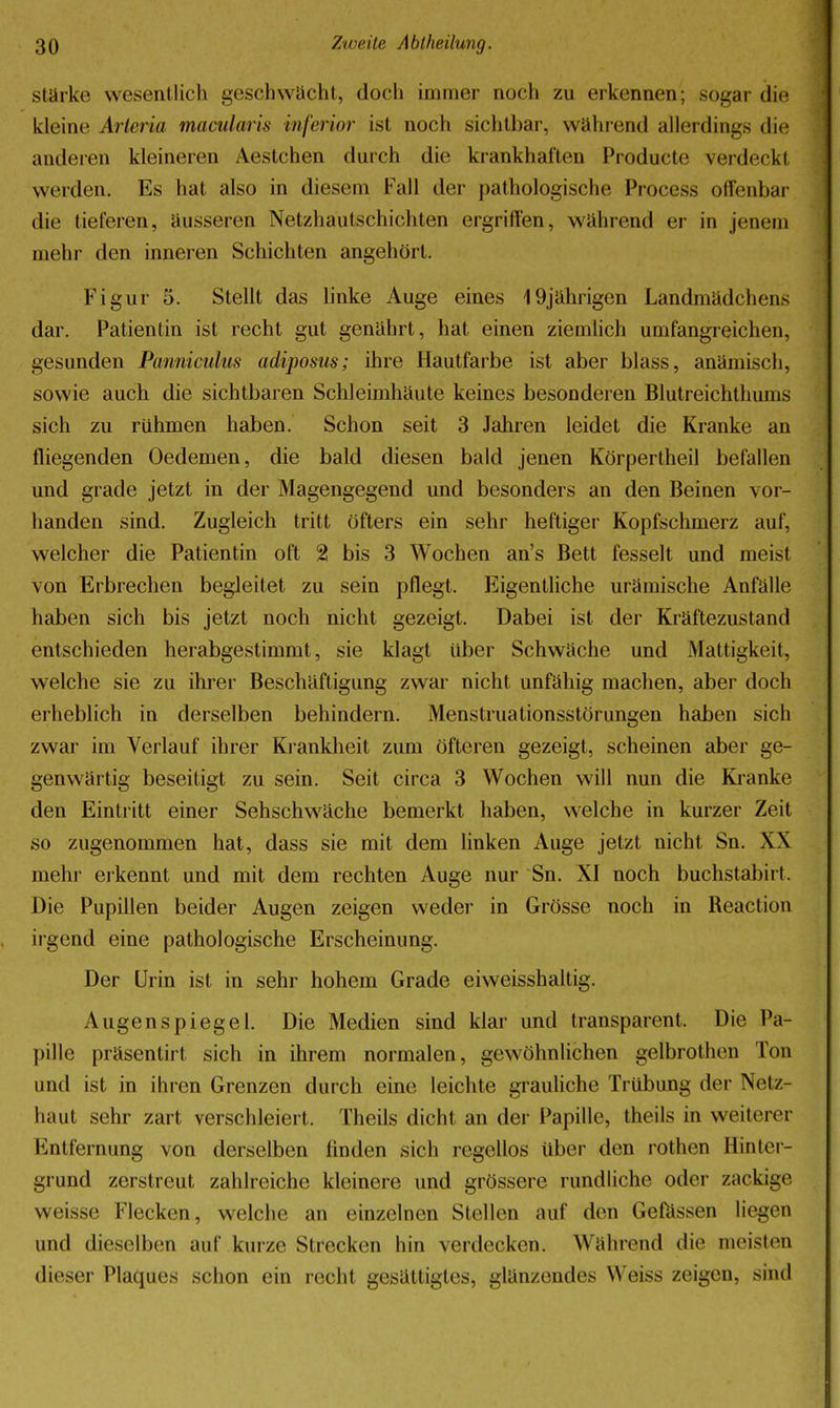 stärke wesentlich geschwächt, doch immer noch zu erkennen; sogar die kleine Arleria macularis inferior ist noch sichtbar, während allerdings die anderen kleineren Aestchen durch die krankhaften Producte verdeckt werden. Es hat also in diesem Fall der pathologische Process offenbar die tieferen, äusseren Netzhautschichten ergriffen, während er in jenem mehr den inneren Schichten angehört. Figur 5. Stellt das linke Auge eines 19jährigen Landmädchens dar. Patientin ist recht gut genährt, hat einen ziemlich umfangreichen, gesunden Panniculus adiposus; ihre Hautfarbe ist aber blass, anämisch, sowie auch die sichtbaren Schleimhäute keines besonderen Blutreichthums sich zu rühmen haben. Schon seit 3 Jahren leidet die Kranke an fliegenden Oedemen, die bald diesen bald jenen Körpertheil befallen und grade jetzt in der Magengegend und besonders an den Beinen vor- handen sind. Zugleich tritt öfters ein sehr heftiger Kopfschmerz auf, welcher die Patientin oft 2 bis 3 Wochen an's Bett fesselt und meist von Erbrechen begleitet zu sein pflegt. Eigentliche urämische Anfälle haben sich bis jetzt noch nicht gezeigt. Dabei ist der Kräftezustand entschieden herabgestimmt, sie klagt über Schwäche und Mattigkeit, welche sie zu ihrer Beschäftigung zwar nicht unfähig machen, aber doch erheblich in derselben behindern. Menstruationsstörungen haben sich zwar im Verlauf ihrer Krankheit zum öfteren gezeigt, scheinen aber ge- genwärtig beseitigt zu sein. Seit circa 3 Wochen will nun die Kranke den Eintritt einer Sehschwäche bemerkt haben, welche in kurzer Zeit so zugenommen hat, dass sie mit dem Unken Auge jetzt nicht Sn. XX mehr erkennt und mit dem rechten Auge nur Sn. XI noch buchstabirt. Die Pupillen beider Augen zeigen weder in Grösse noch in Reaction irgend eine pathologische Erscheinung. Der Urin ist in sehr hohem Grade eiweisshaltig. Augenspiegel. Die Medien sind klar und transparent. Die Pa- pille präsentirt sich in ihrem normalen, gewöhnlichen gelbrothen Ton und ist in ihren Grenzen durch eine leichte grauliche Trübung der Netz- haut sehr zart verschleiert. Theils dicht an der Papille, theils in weiterer Entfernung von derselben finden sich regellos über den rothen Hinter- grund zerstreut zahlreiche kleinere und grössere rundliche oder zackige weisse Flecken, welche an einzelnen Stellen auf den Gefässen liegen und dieselben auf kurze Strecken hin verdecken. Während die meisten dieser Plaques schon ein recht gesättigtes, glänzendes Weiss zeigen, sind