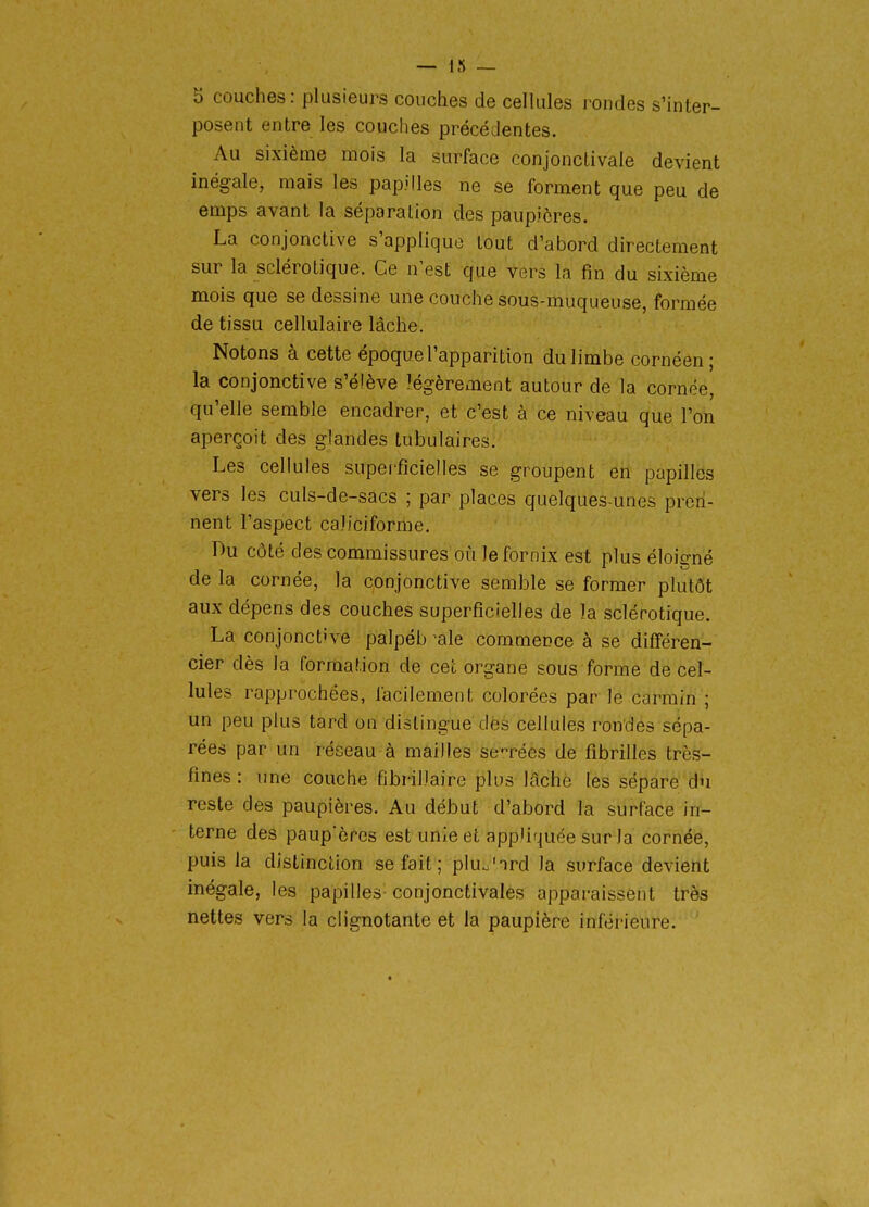 5 couches : plusieurs couches de cellules rondes s'inter- posent entre les couches précédentes. Au sixième mois la surface conjonclivale devient inégale, mais les papilles ne se forment que peu de emps avant la séparation des paupières. La conjonctive s'applique tout d'abord directement sur la sclérotique. Ce n'est que vers la fin du sixième mois que se dessine une couche sous-muqueuse, formée de tissu cellulaire lâche. Notons à cette époque l'apparition du limbe cornéen; la conjonctive s'élève légèrement autour de la cornée, qu'elle semble encadrer, et c'est à ce niveau que l'on aperçoit des glandes lubulaires. Les cellules superficielles se groupent en papilles vers les culs-de-sacs ; par places quelques-unes pren- nent l'aspect caliciforme. Du côté des commissures où lefornix est plus éloigné de la cornée, la conjonctive semble se former plutôt aux dépens des couches superficielles de la sclérotique. La conjonctive palpéb -aie commence à se différen- cier dès la formation de cet organe sous forme de cel- lules rapprochées, facilement colorées par le carmin ; un peu plus tard on dislingue dès cellules rondes sépa- rées par un réseau à mailles se':'rées de fibrilles très- fines : une couche fibrillaire plus lâche les sépare du reste des paupières. Au début d'abord la surface in- terne des paup'ères est unie et appUr^uée sur la cornée, puis la distinction se fait ; plu^'nrd la surface devient inégale, les papilles conjonctivales apparaissent très nettes vers la clignotante et la paupière inférieure.