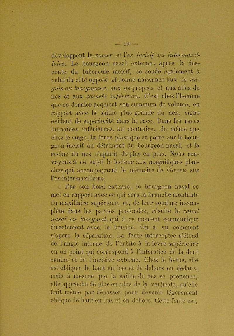 développent le vomer et Vos incisif ou intermaxil- laire. Le bourgeon nasal externe, après la des- cente du tubercule incisif, se soude également à celui du côté opposé et donne naissance aux os un- guis ou lacryynauœ, aux os propres et aux ailes du nez et aux cornets inférieurs. C'est chez l'homme que ce dernier acquiert son summum de volume, en rapport avec la saillie plus grande du nez, signe évident de supériorité dans la race. Dans les races humaines inférieures, au contraire, de même que chez le singe, la force plastique se porte sur le bour- geon incisif au détriment du bourgeon nasal, et la racine du nez s'aplatit de plus en plus. Nous ren- voyons à ce sujet le lecteur aux magnifiques plan- ches qui accompagnent le mémoire de Gœthe sur l'os intermaxillaire. « Par son bord externe, le bourgeon nasal se met en rapport avec ce qui sera la branche montante du maxillaire supérieur, et, de leur soudure incom- plète dans les parties profondes, résulte le canal nasal oit lacrymal, qui à ce moment communique directement avec la bouche. On a vu comment s'opère la séparation. La fente interceptée s'étend de l'angle interne de l'orbite à la lèvre supérieure en un point qui correspond à l'interstice de la dent canine et de l'incisive externe. Chez le fœtus, elle est oblique de haut en bas et de dehors en dedans, mais à mesure que la saillie du nez se prononce, elle approche de plus en plus de la vei'ticale, qu'elle finit même par dépasser, pour devenir légèrement oblique de haut en bas et en dehors. Cette fente est,