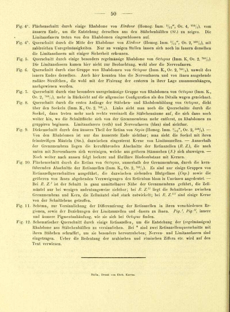 Fig. 4'\ Flächensclinitt durch einige Rhabdome von Eledone (Homog. Imm. Vi2> Oc. 4, ^^Vi)) vom äussern Ende, um die Entstehung derselben aus den Stäbchenhälften {St.) zu zeigen. Die Limitansfasern treten von den Rhabdomen eingeschlossen auf. Fig. 4''. Querschnitt durch die Mitte der Riiabdome von Eledone (Homog. Imm. '/12) Oc. 2, ^/i), mit zahlreichen Unregelmässigkeiten. Nur an wenigen Stellen lassen sich noch im Innern derselben die Limitansfasern mit einiger Sicherheit erkennen. Fig. 5. Querschnitt durch einige besonders regelmässige Rhabdome von Octopus (Imm. K, Oc. 2, Die Limitansfasern kamen hier nicht zur Beobachtung, wohl aber die Nervenfasern. Fig. 6. Querschnitt durch eine Gruppe von Rhabdomen von Octopus (Imm. K., Oc. 2, ''''/i), unweit des Innern Endes derselben. Auch hier konnten blos die Nervenfasern und von ihnen ausgehende radiäre Streifchen, die wohl mit der Fixirung der ersteren in ihrer Lage zusammenhängen, nachgewiesen werden. Fig. 7. Querschnitt durch eine besonders unregelmässige Gruppe von Rhabdomen von Octopus (Imm. K., Oc. 2, '^/i); mehr in Rücksicht auf die allgemeine Configuration als des Details wegen gezeichnet. Fig. 8. Querschnitt durch die ersten Anfänge der Stäbchen- und Rhabdombildung von Octopiis, dicht über den Sockeln (Imm. K., Oc. 2, •'/i)- Links sieht man noch die Querschnitte durch die Sockel, dann treten mehr nach rechts vereinzelt die Stäbchensäume auf, die sich dann noch weiter hin, wo die Schnittfläche sich von der Grenzmembran mehr entfernt, zu Rhabdomen zu gruppiren beginnen. Limitansfasern (roth) und Nervenfasern (blau) sind sichtbar. Fig. 9. Dickenschnitt durch den äussern Theil der Retina von Sepia (Ilomog. Imm. Vri'S Oc. 2, ^'^/i)- — Von den Rliabdomen ist nur das äusserste Ende sichtbar; man sieht die Sockel mit ihren feinstreifigen Mänteln {Sm.), dazwischen eingestreut Kerne von Limitanszellen. — Ausserhalb der Grenzmembrau liegen die kernftihrenden Abschnitte der Retinazellen {R. Z.}, die nach unten mit Nervenfasern sich vereinigen, welche aus gröbern Stämmchen {N.} sich abzweigen. — Noch weiter nach aussen folgt lockere und fibrilläre Bindesubstanz mit Kernen. Fig. 10. Flächenschnitt durch die Retina von Octopus, ausserhalb der Grenzmembran, durch die kern- führenden Abschnitte der Retinazellen (Imm. K., Oc. 2, Es sind nur einige Gruppen von Retinazellquersclinitten ausgeführt, die dazwischen ziehenden Blutgefässe (Cap.) sowie die gröberen von ihnen abgehenden Verzweigungen des Reticulum bloss in Umrissen angedeutet. — Bei R. ZJ ist der Schnitt in ganz unmittelbarer Nähe der Grenzraembran geführt, die Zell- mäntel nur bei wenigen andeutungsweise sichtbar; bei R. Z. liegt die Schnittebene zwischen Grenzmembran und Kern, die Zellmäutel sind stark entwickelt; bei R. ZJ sind einige Kerne von der Schnittebene getroffen. Fig. 11. Schema, zur Versinnlichung der Differenzirung der Retinazellen in ihren verschiedenen Re- gionen, sowie der Beziehungen der Liniitanszellen und -fasern zu ihnen. Pig-'-, Pig-^'-, innere und äussere Pigmentanhäufung, wie sie sich bei Octopus finden. Fig. 12. Schematischer Querschnitt durch einige Retinazellen, um die Entstehung der (regelmässigen) Rhabdome aus Stäbchenhälften zu versinnlichen. Bei * sind zwei Retinazellenquerschnitte mit ihren Stäbchen schraffirt, um sie besonders hervorzuheben; Nerven- und Limitansfasern sind eingetragen. Ueber die Bedeutung der arabischen und römischen Ziffern etc. wird auf den Text verwiesen. Halla, Druok von Ehrh. Karras.